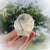 Golden Healer Girasol Quartz