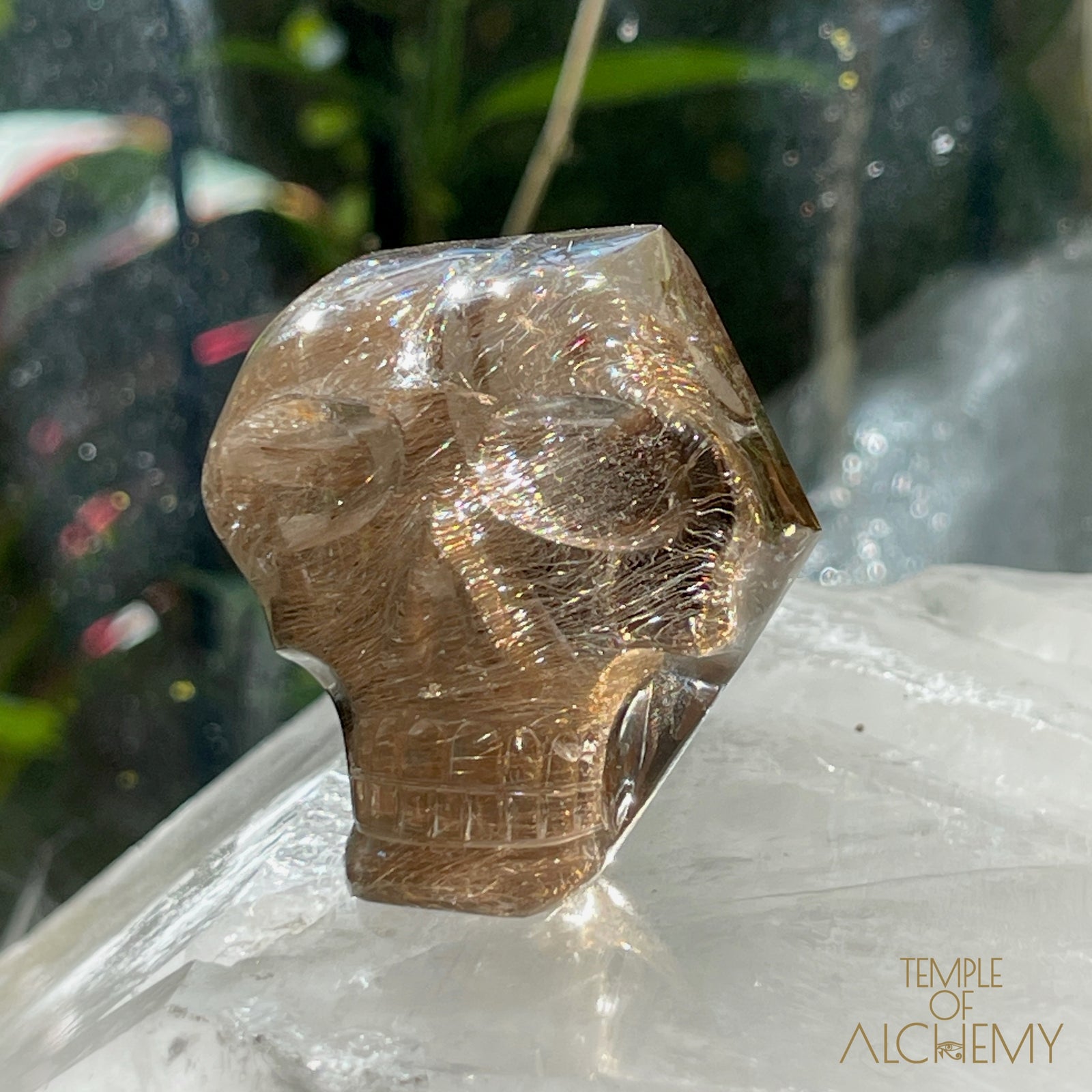 Smoky Citrine x Golden-Copper Rutiles