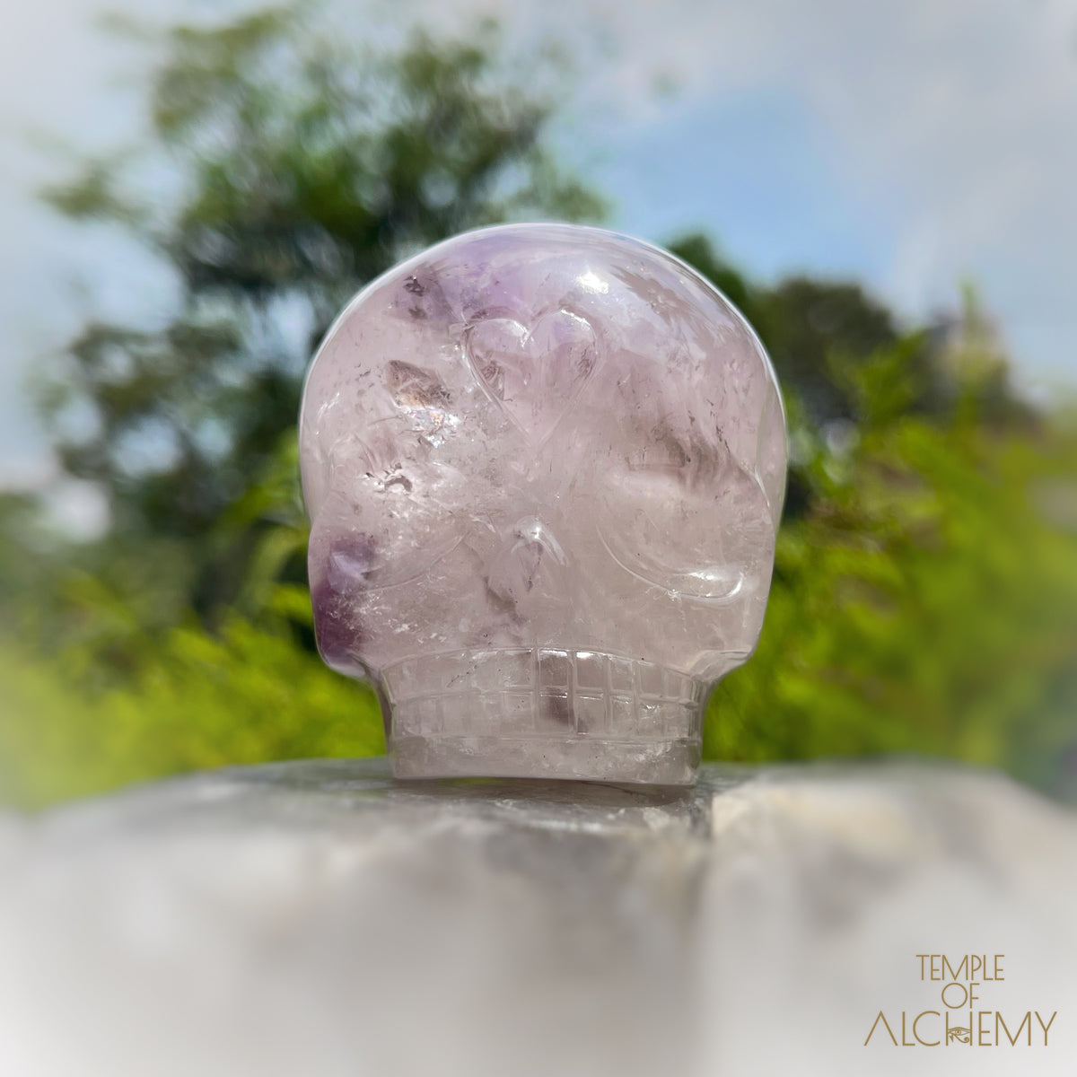 Trapiche Amethyst + Hollandite