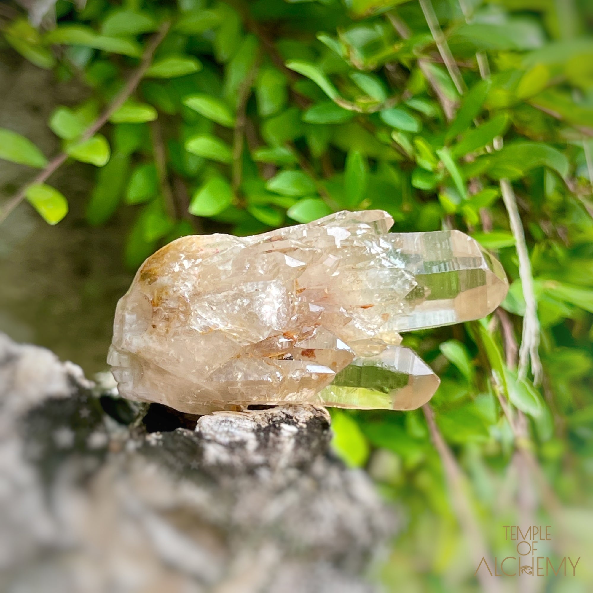 Kundalini Citrine