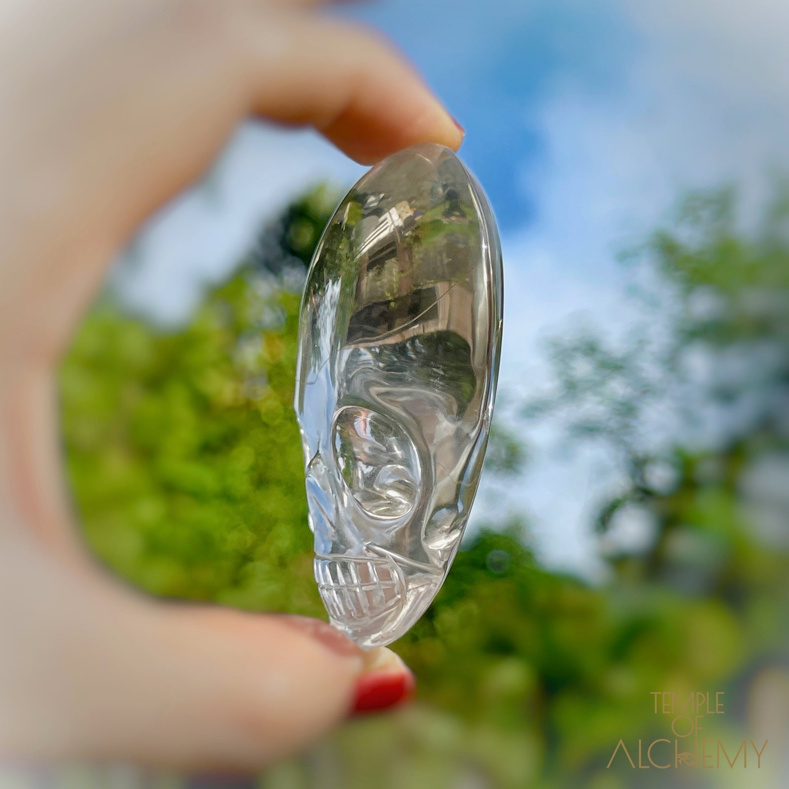 Ascension 𓄂♡𓆃 Copper Rutiles in Clear Quartz