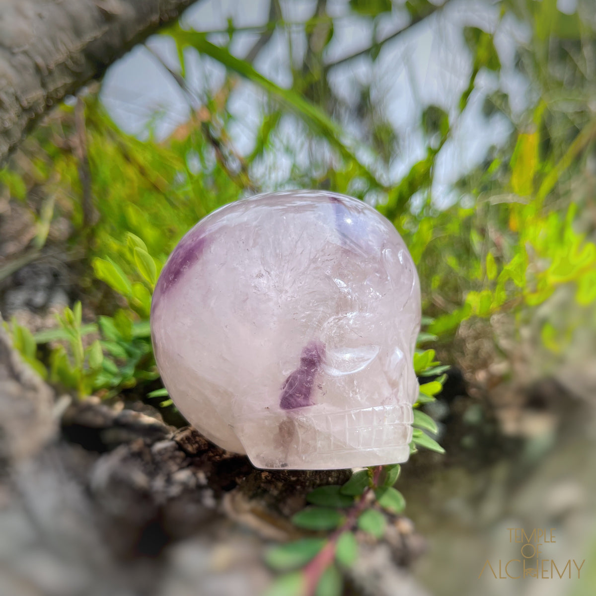 Trapiche Amethyst + Hollandite