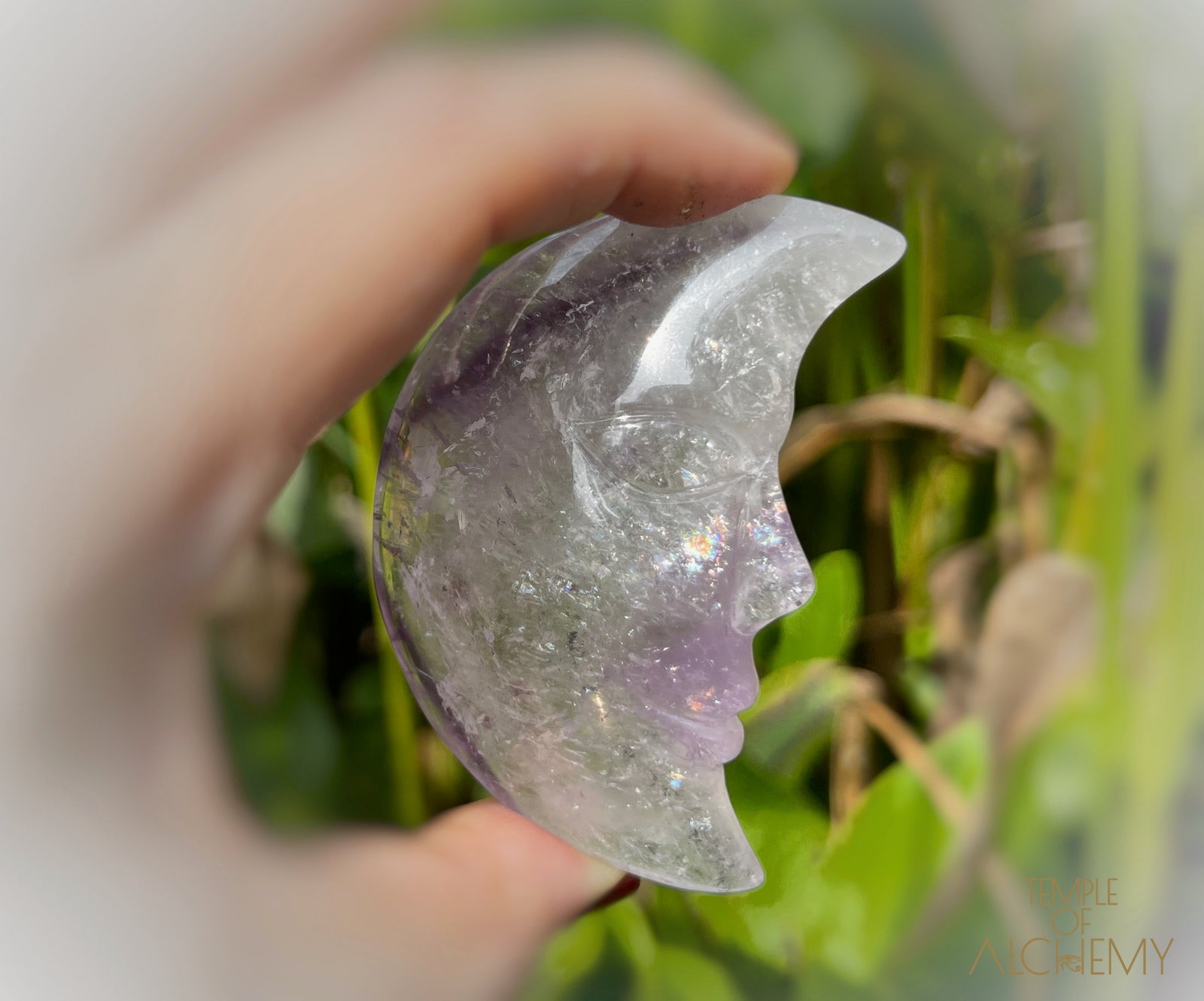 * RESERVED S.A * Phantom Amethyst