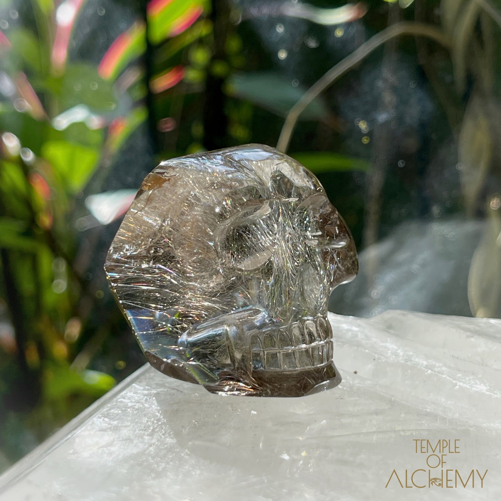 Smoky Citrine x Golden-Copper Rutiles