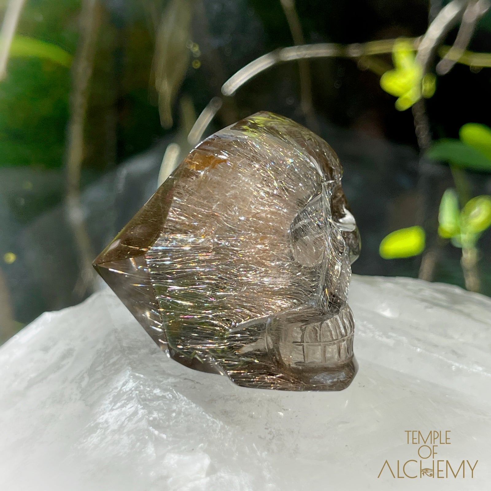 Smoky Citrine x Golden-Copper Rutiles