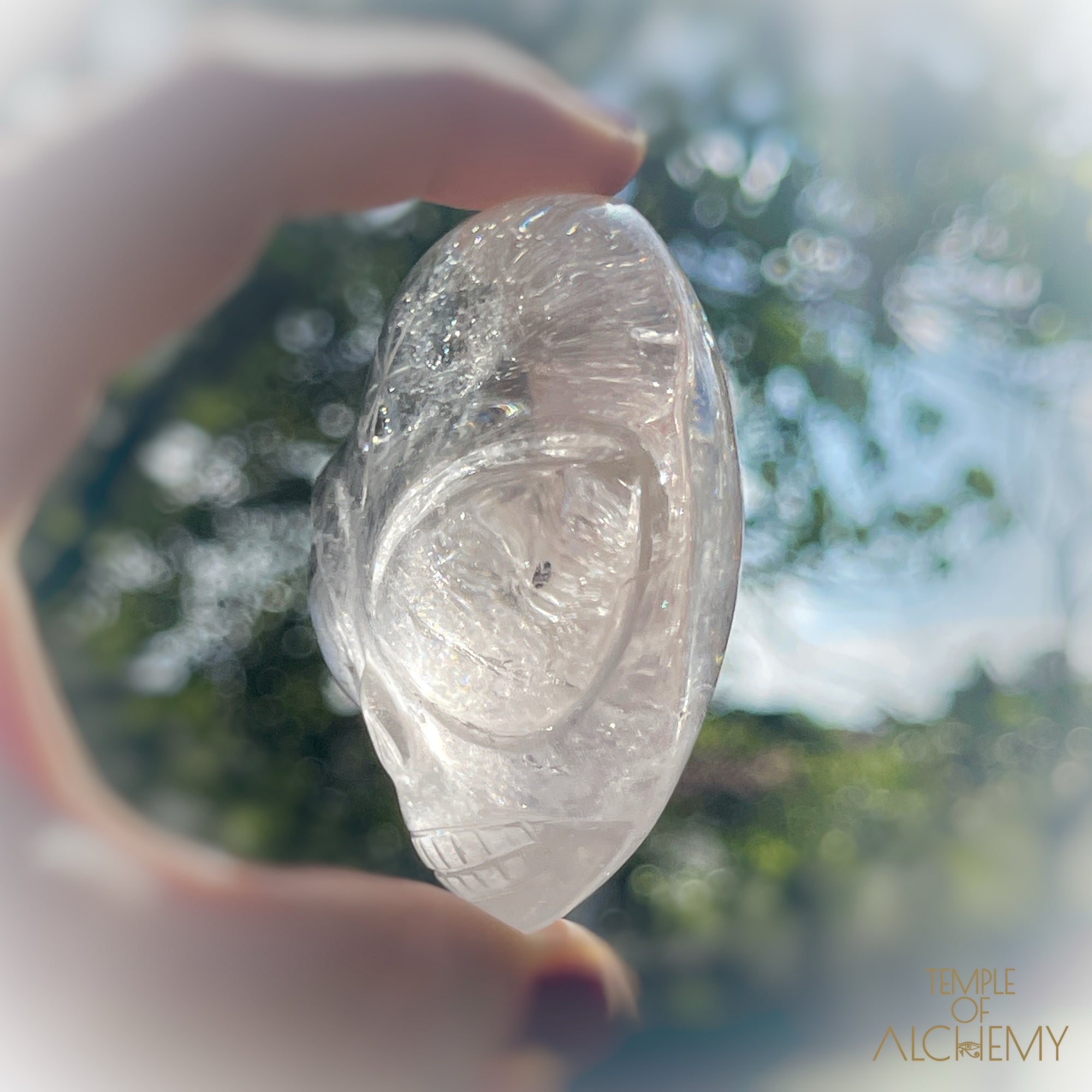 Lemurian