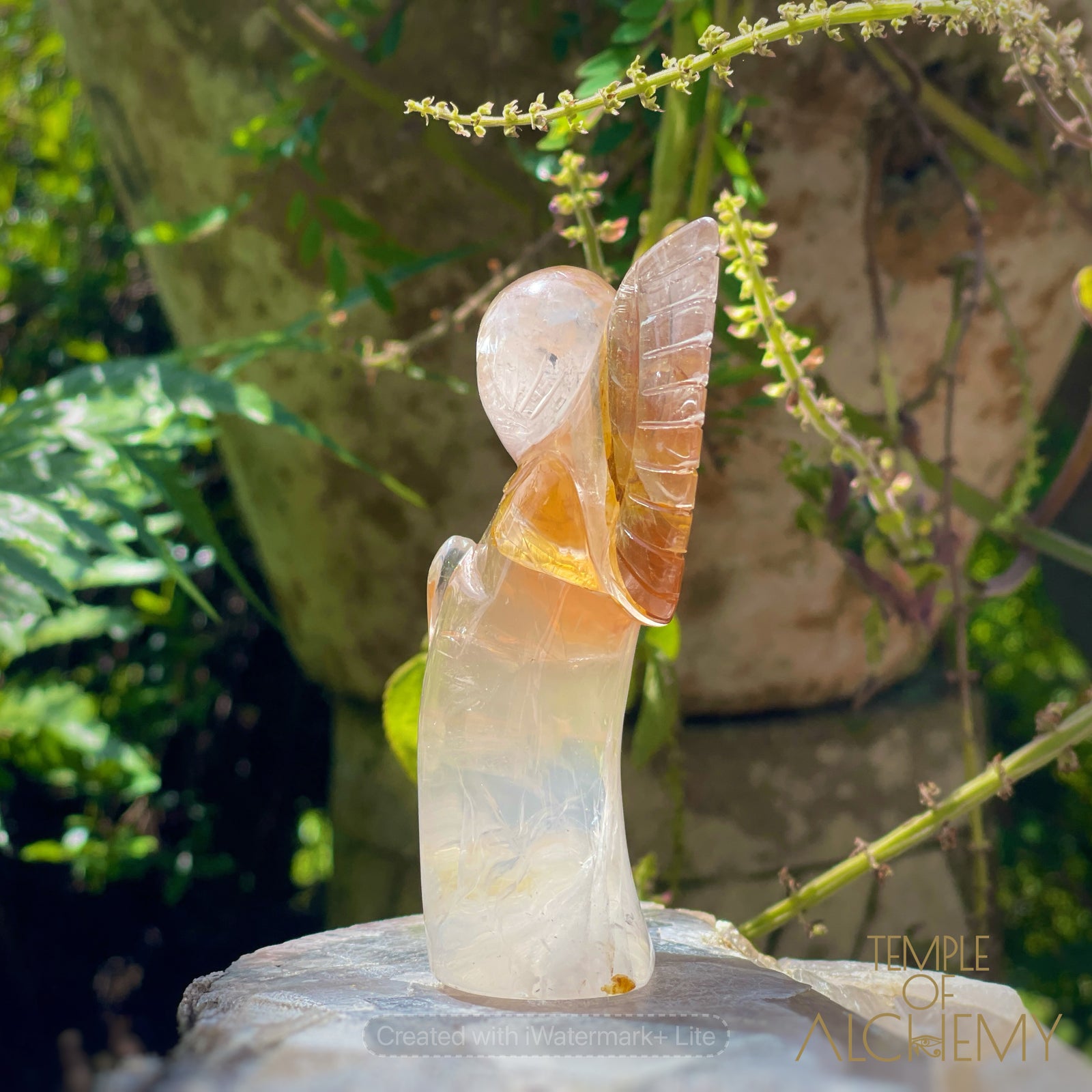 Golden Healer x Girasol Quartz