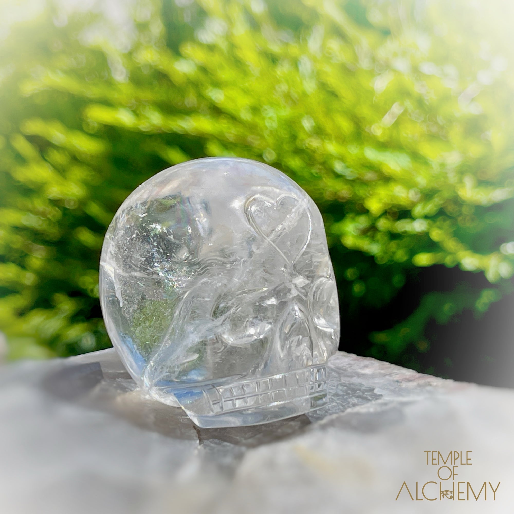 🌈 Lemurian