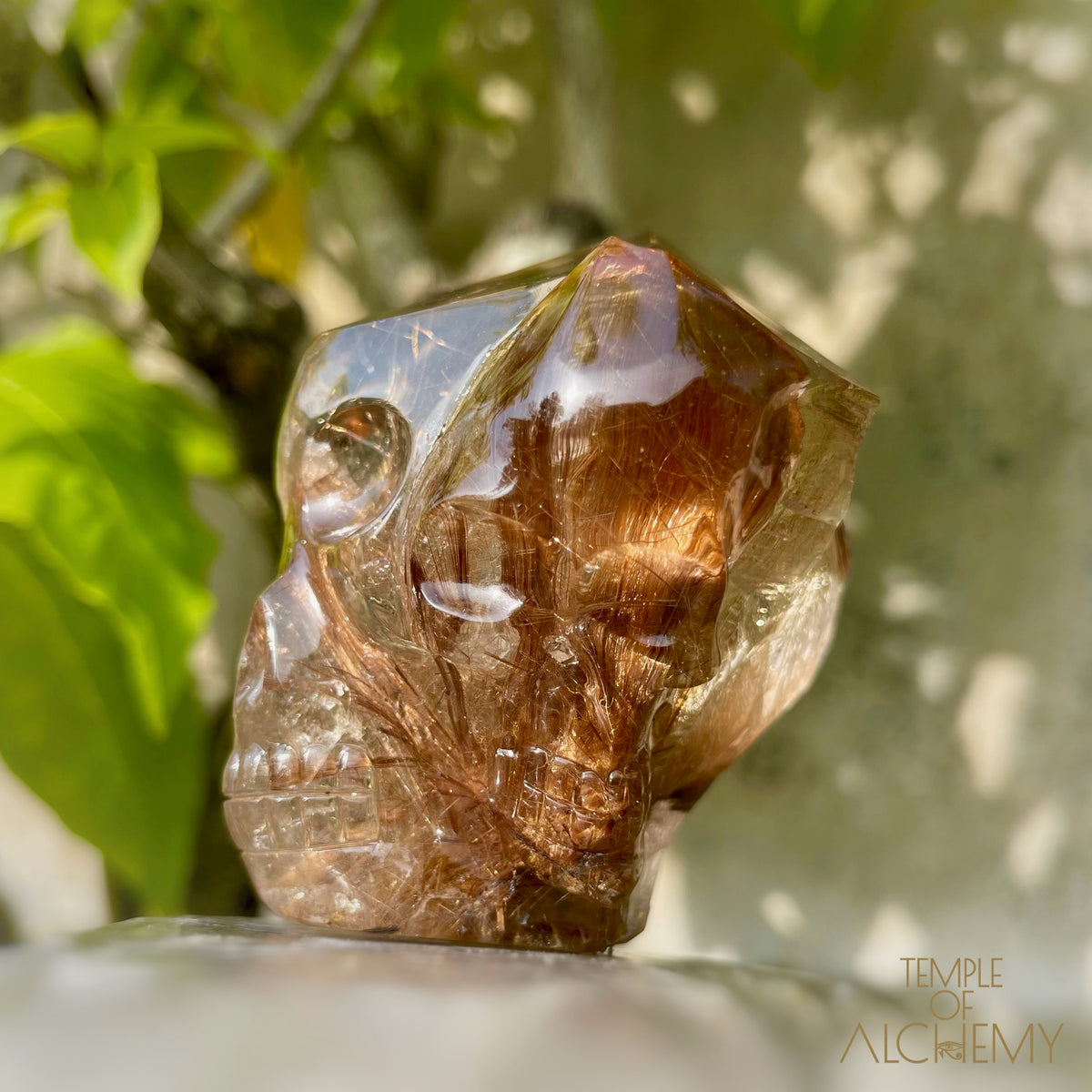 The Power of 2 Beings in 1 𓆃 Smoky Citrine x Golden-Copper Rutiles