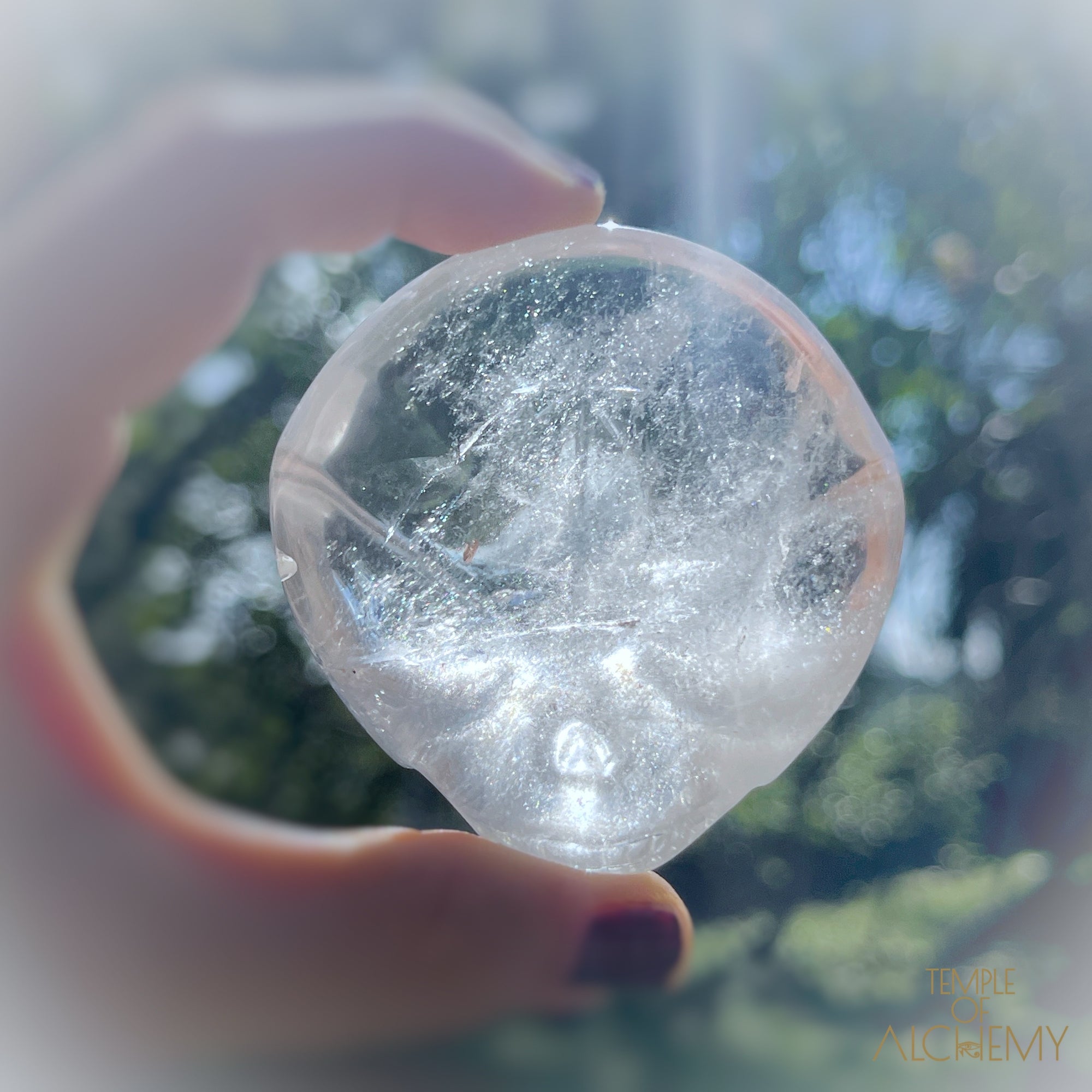 Lemurian