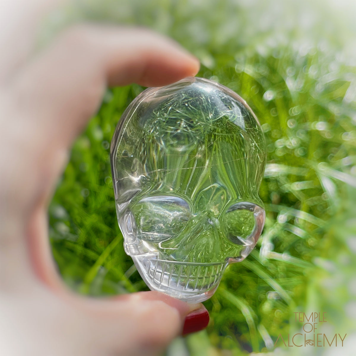 Ascension 𓄂♡𓆃 Copper Rutiles in Clear Quartz