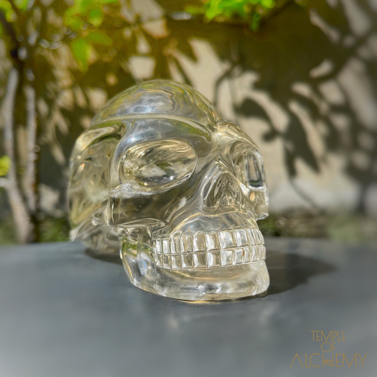 Ascension & Manifestation Quartz 𓄂♡𓆃 Citrine