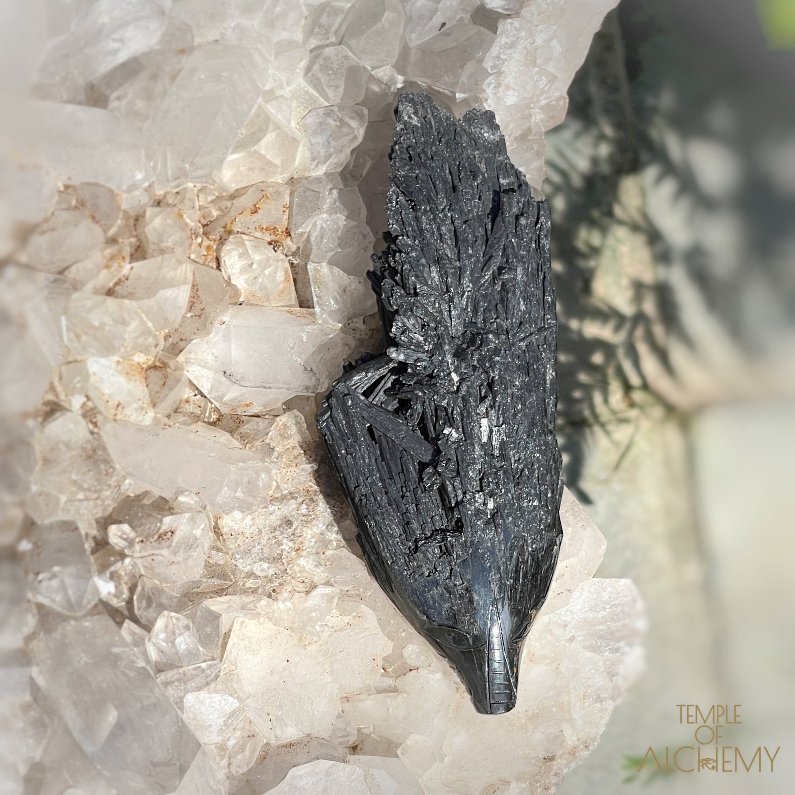 Black Kyanite