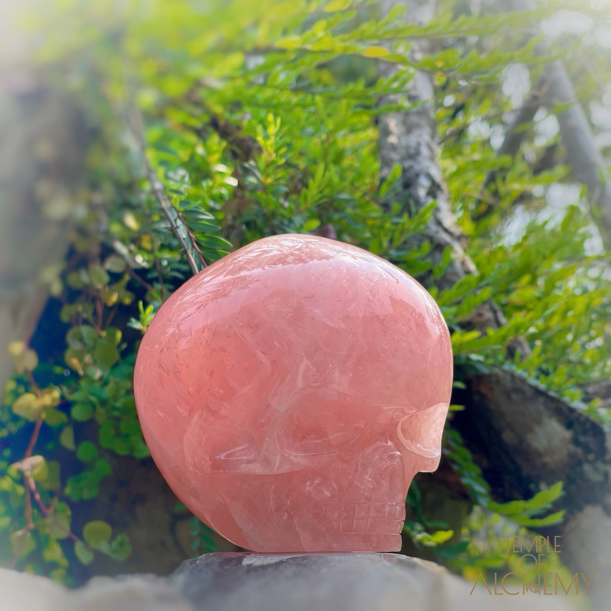 Cat's Eye Rose Quartz