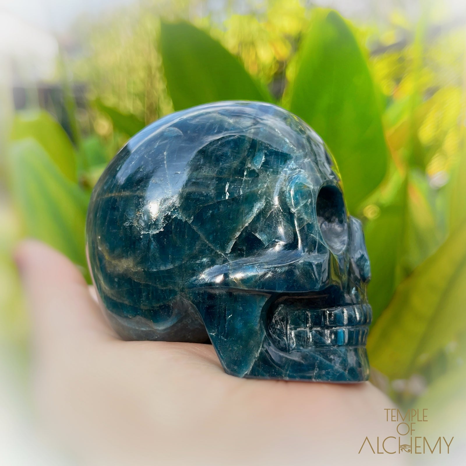 Cat's Eye Apatite Blue Apatite