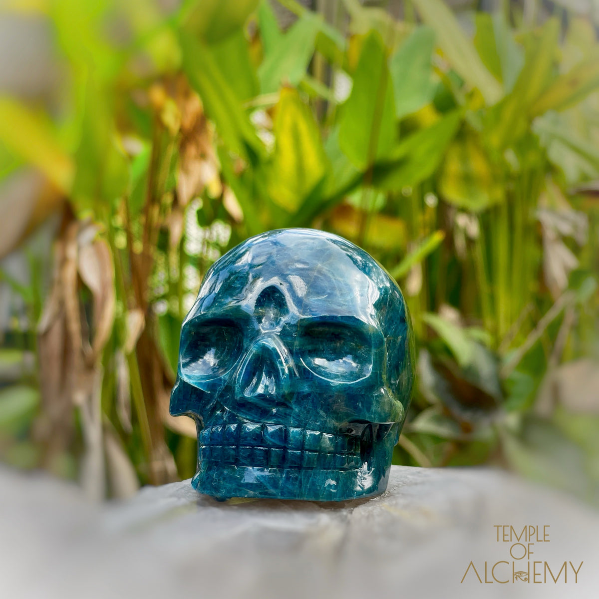 Cat's Eye Apatite Blue Apatite