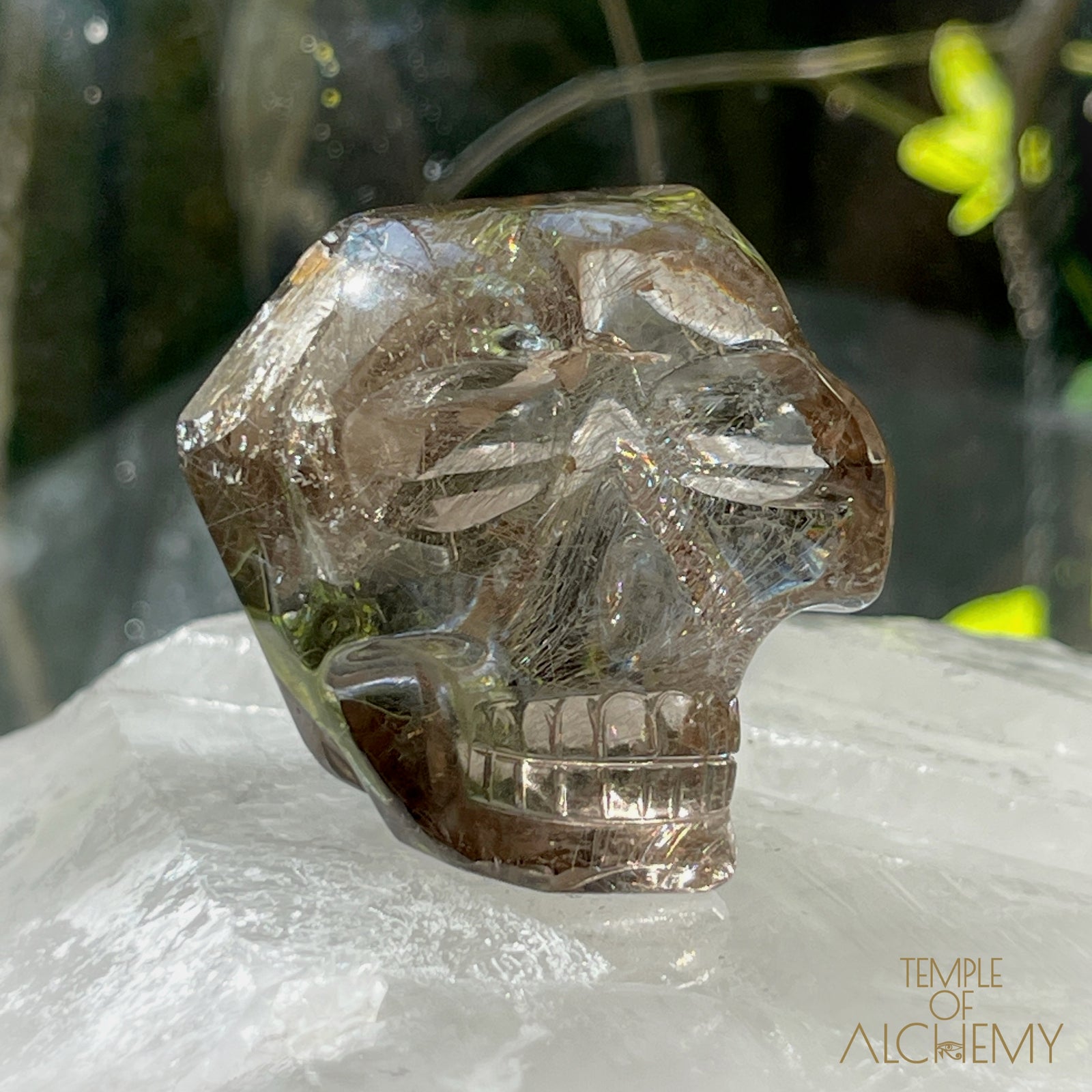 Smoky Citrine x Golden-Copper Rutiles