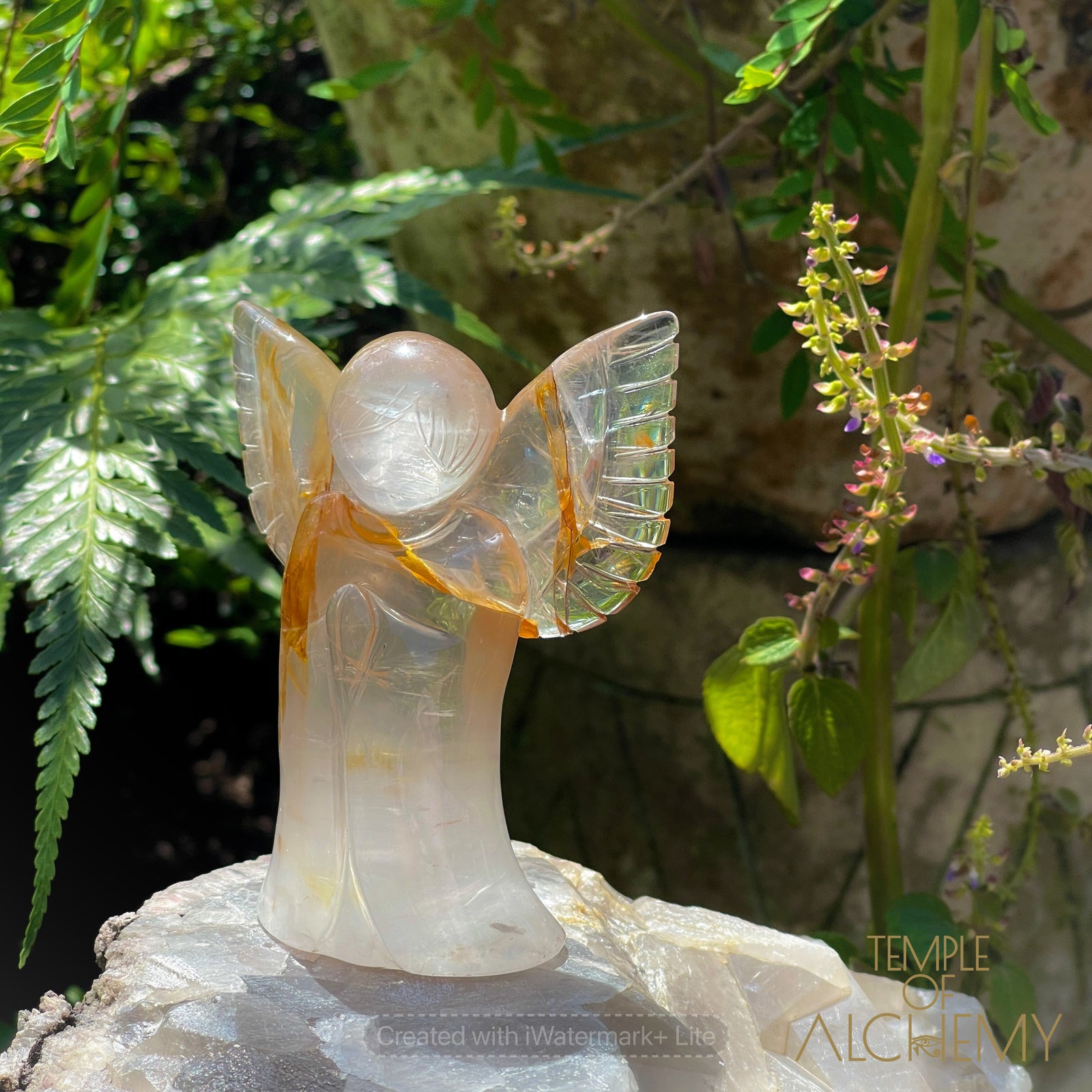 Golden Healer x Girasol Quartz