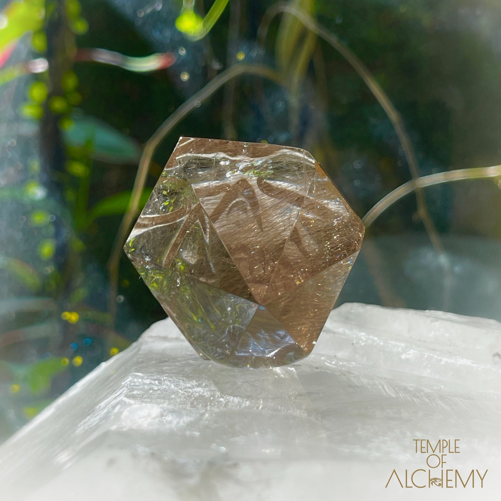 Smoky Citrine x Golden-Copper Rutiles