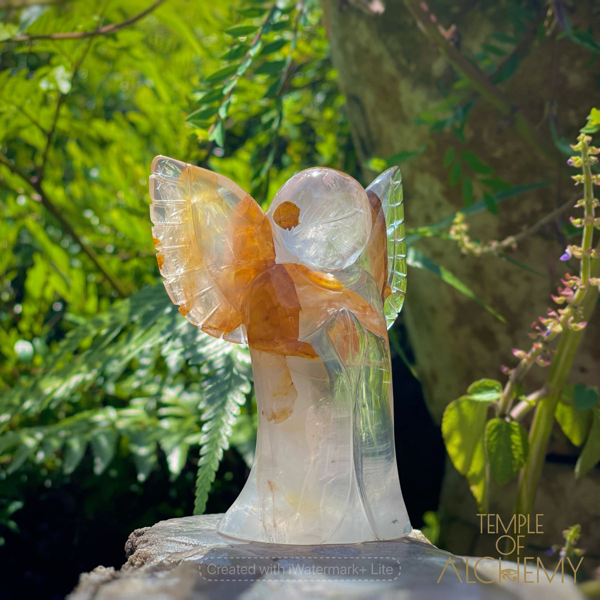 Golden Healer x Girasol Quartz