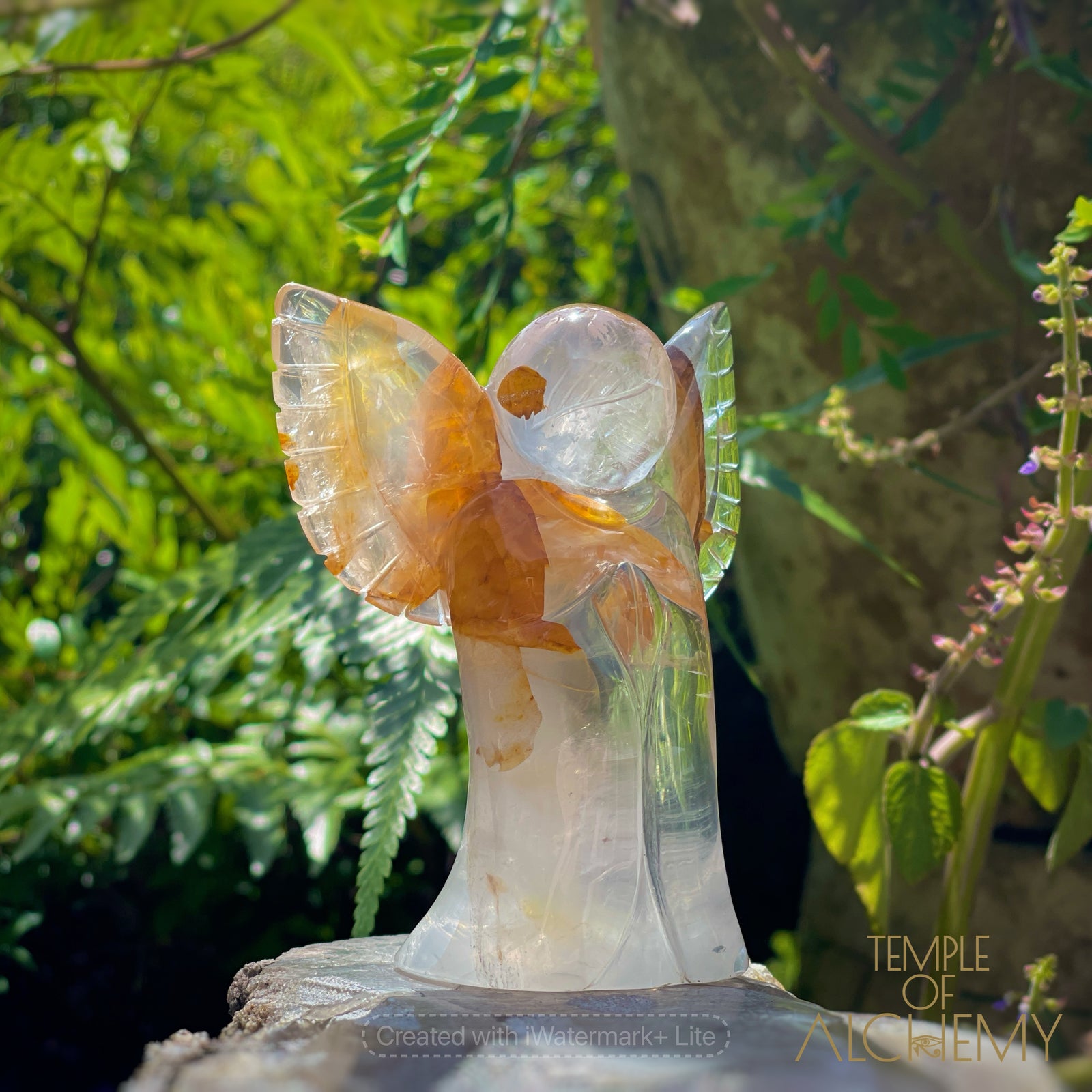 Golden Healer x Girasol Quartz