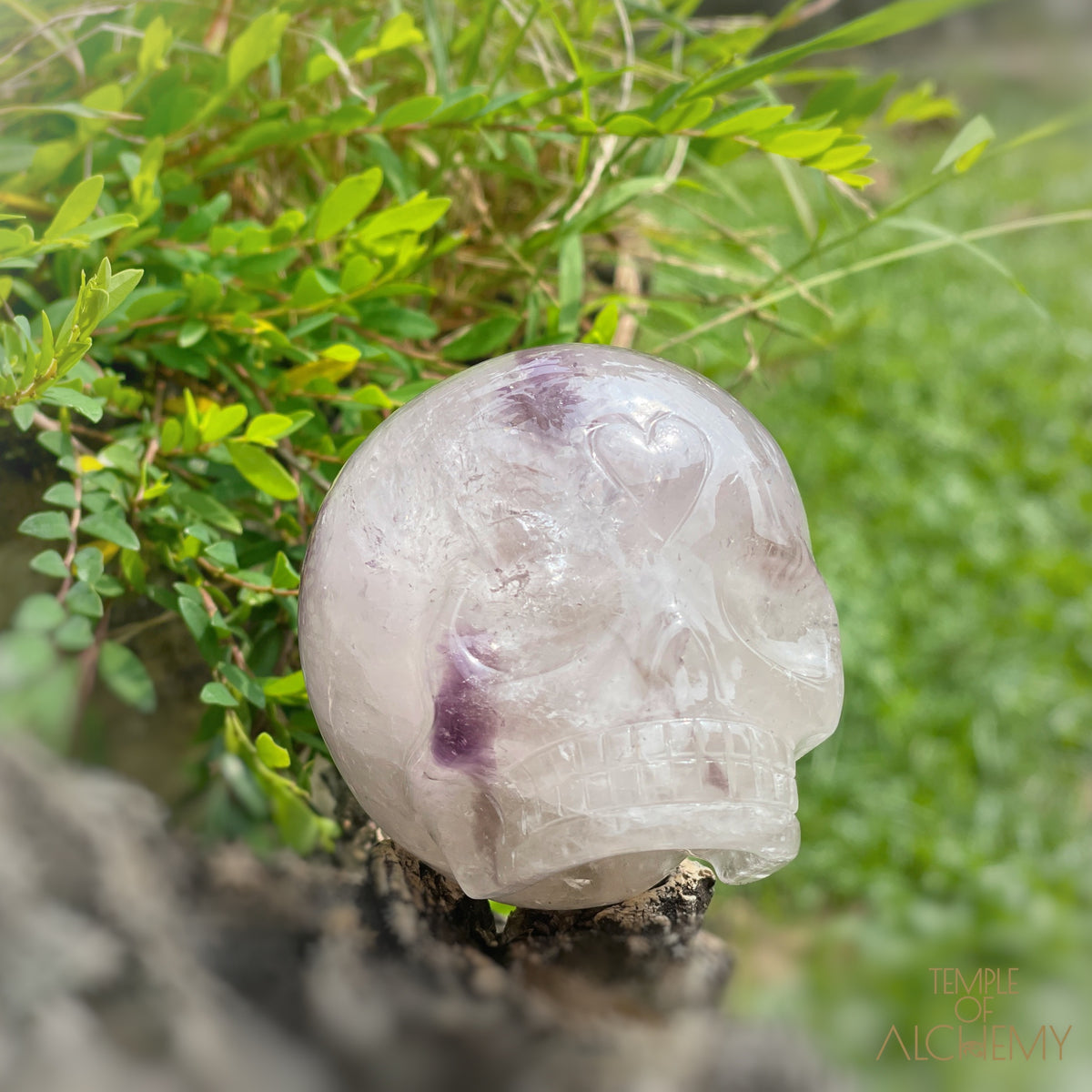 Trapiche Amethyst + Hollandite