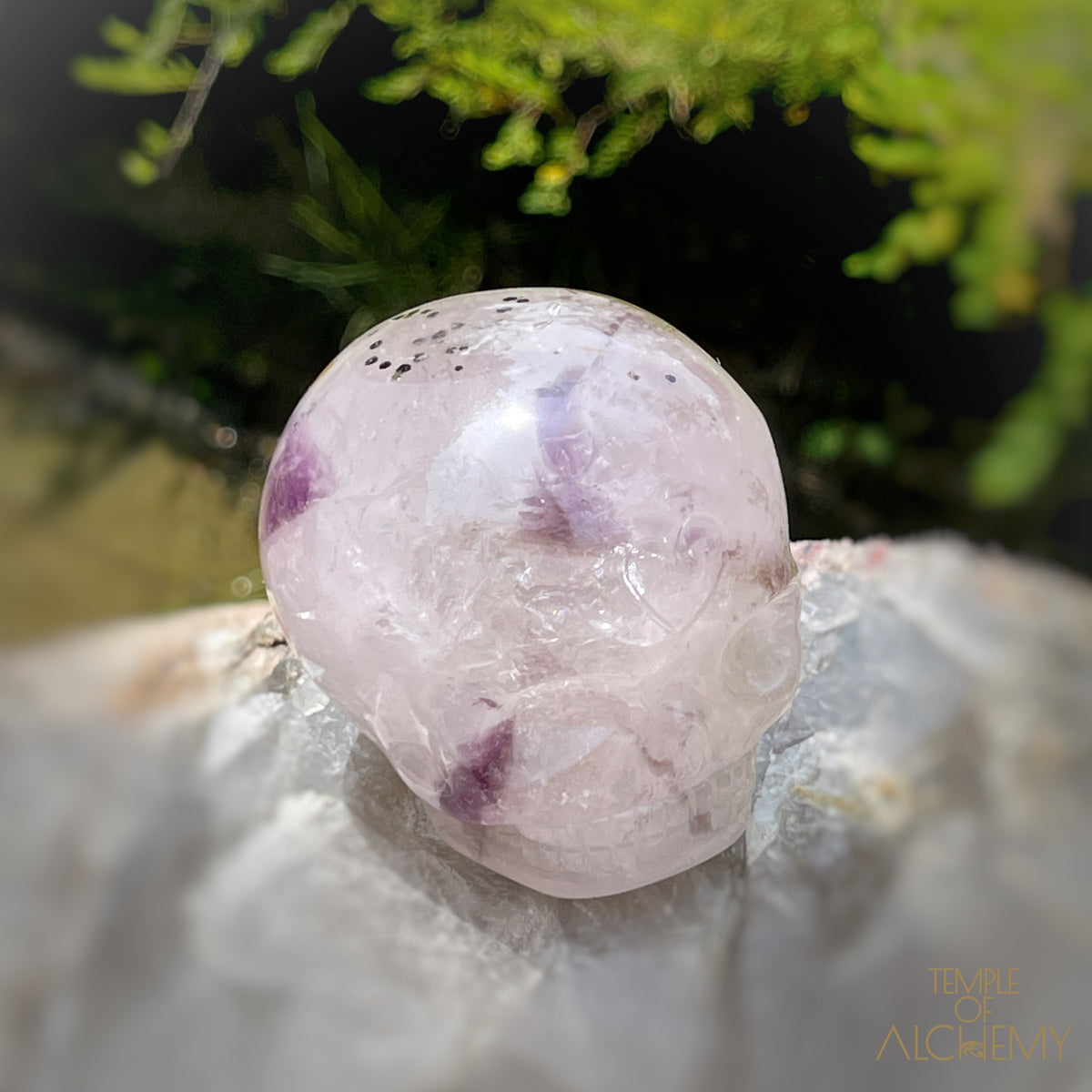 Trapiche Amethyst + Hollandite