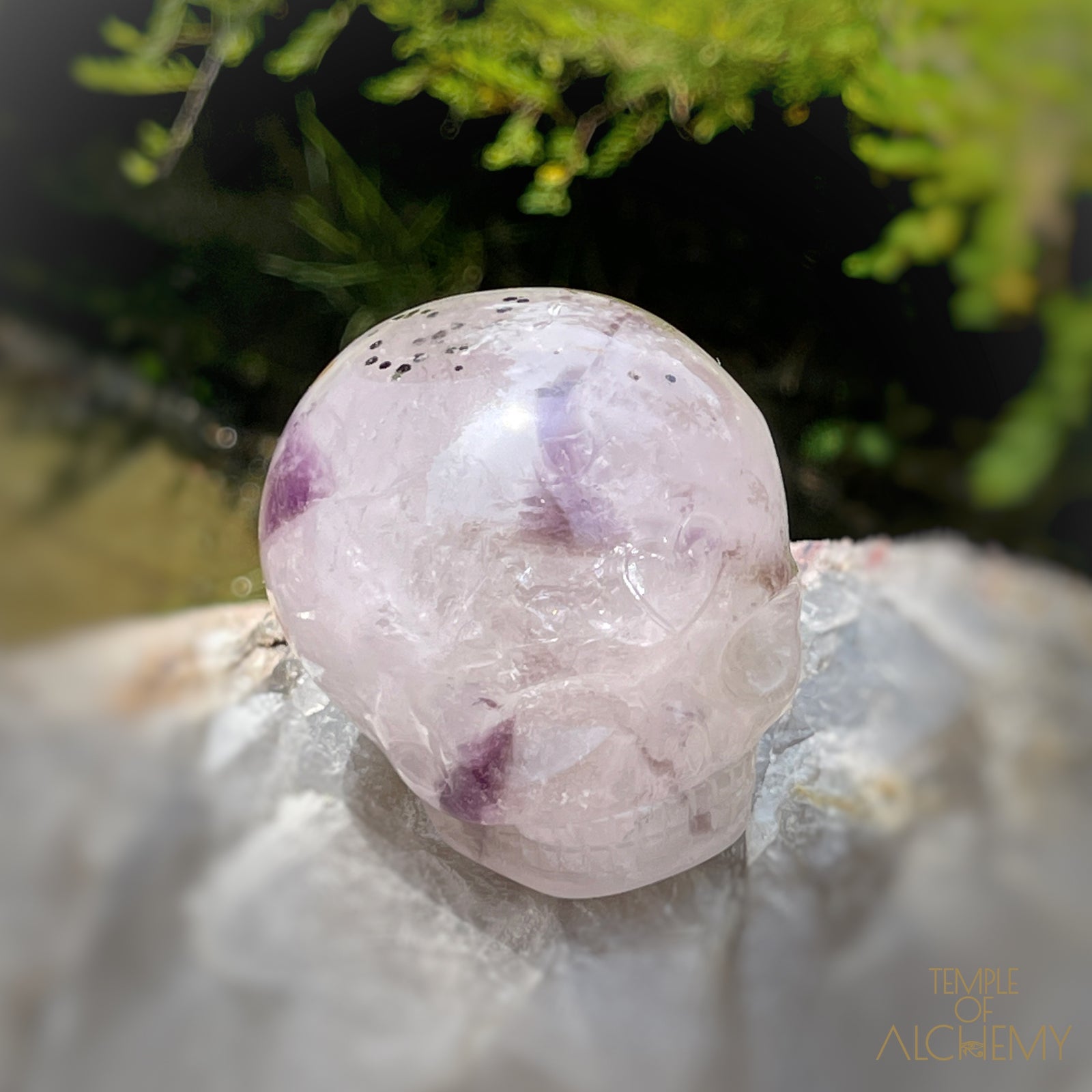Trapiche Amethyst + Hollandite