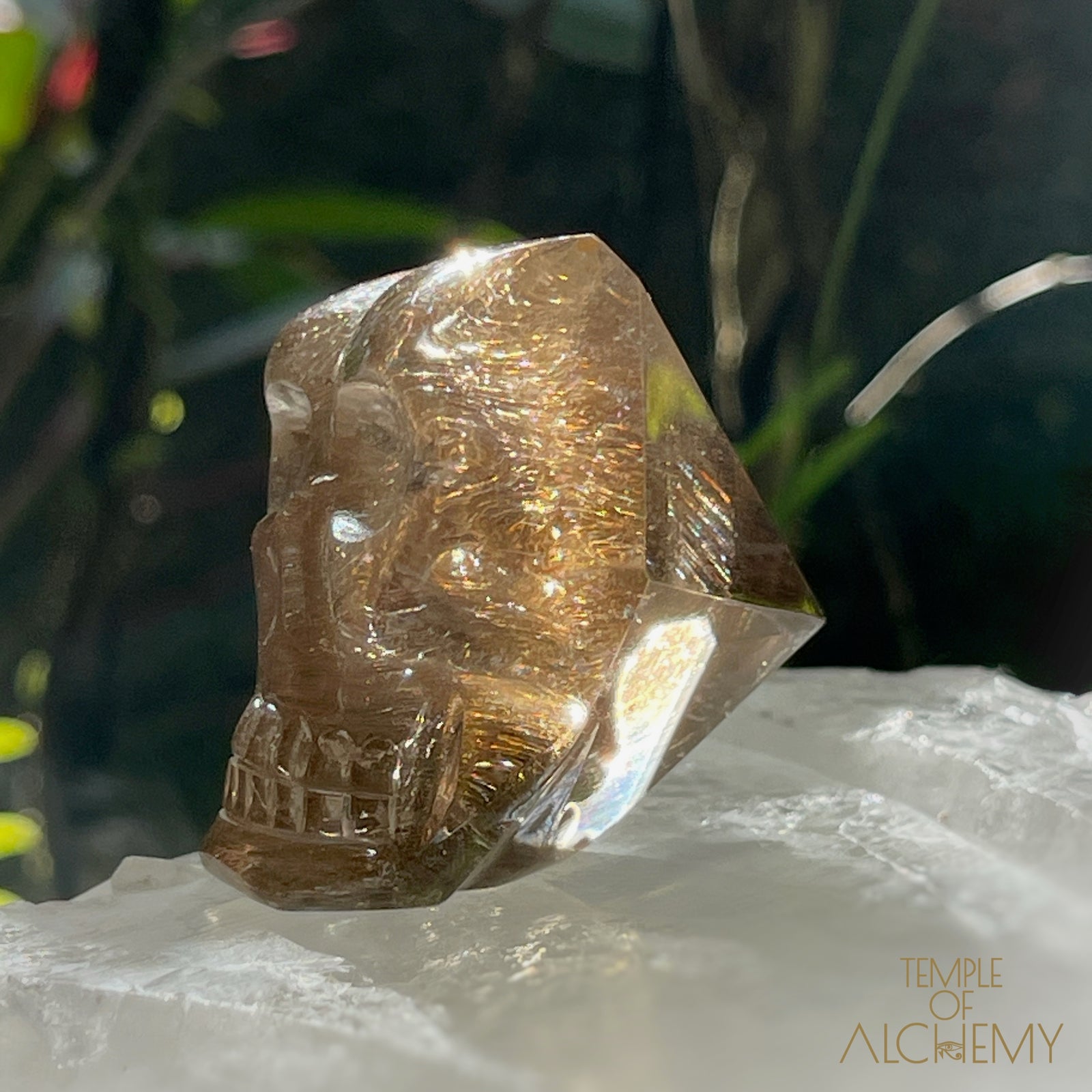 Smoky Citrine x Golden-Copper Rutiles