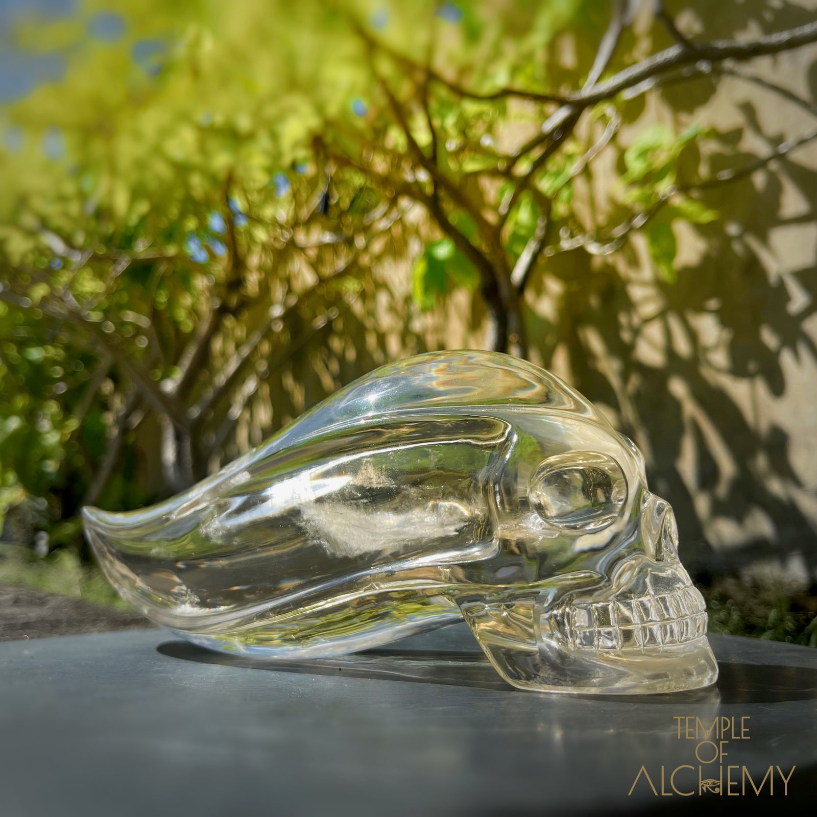 Ascension & Manifestation Quartz 𓄂♡𓆃 Citrine