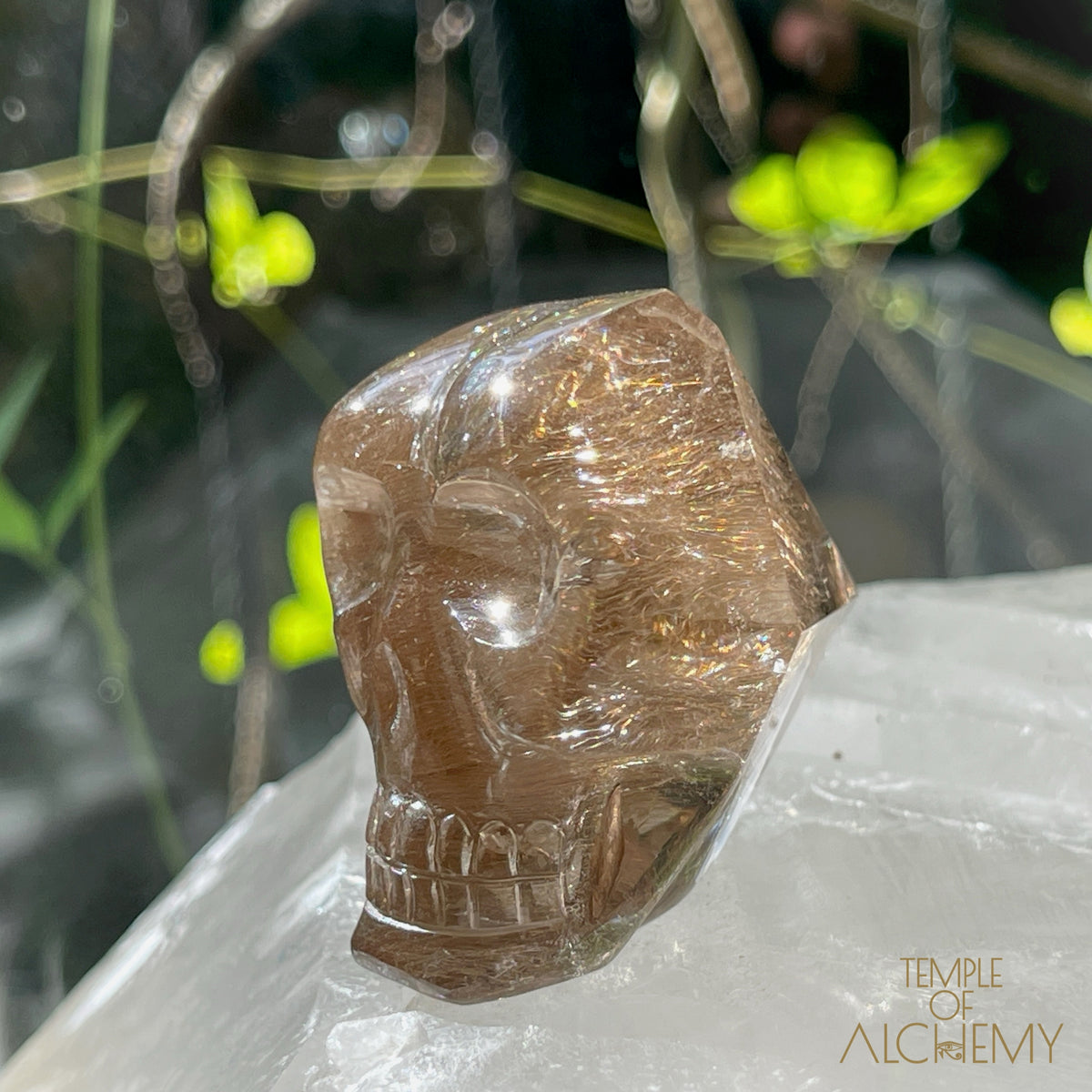 Smoky Citrine x Golden-Copper Rutiles