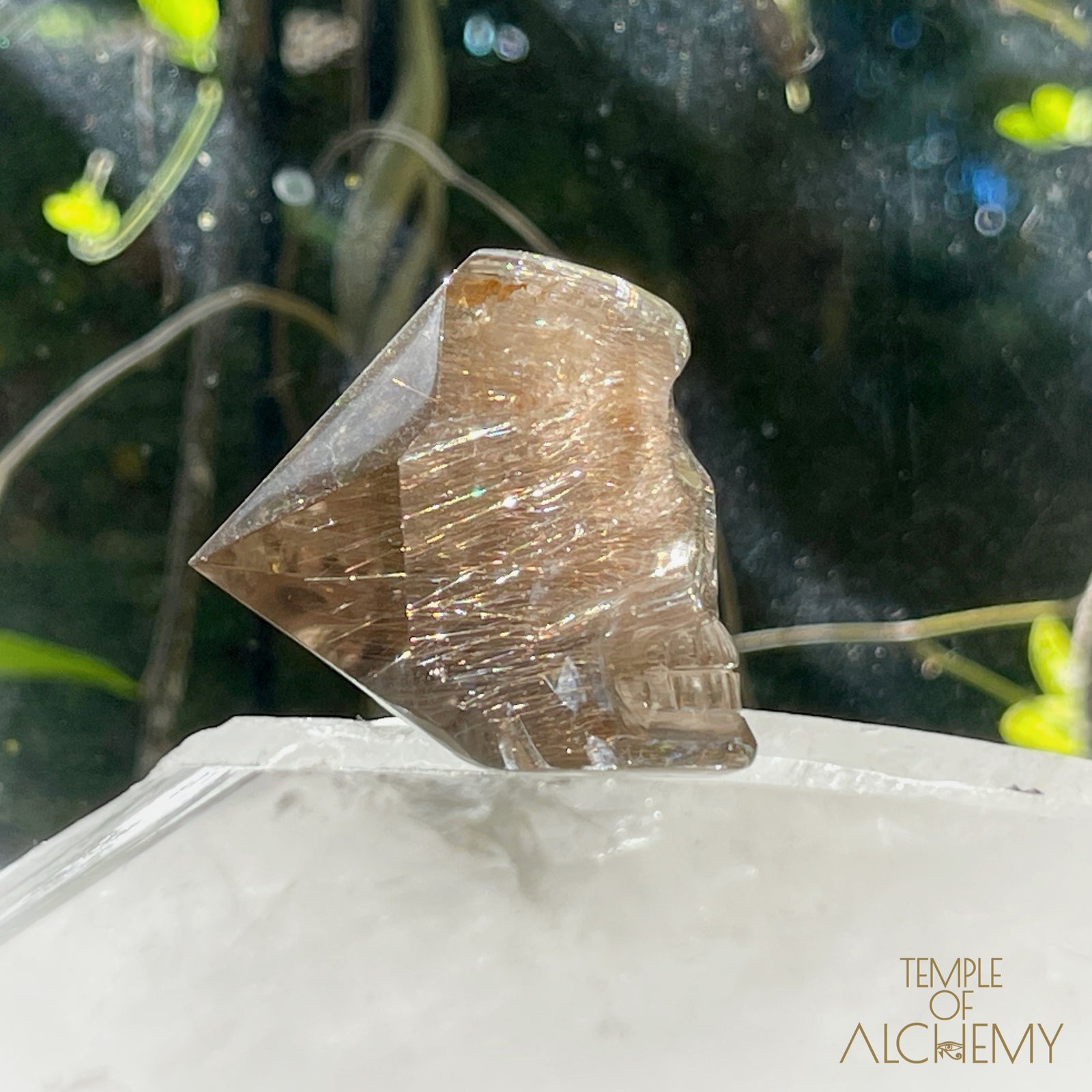 Smoky Citrine x Golden-Copper Rutiles