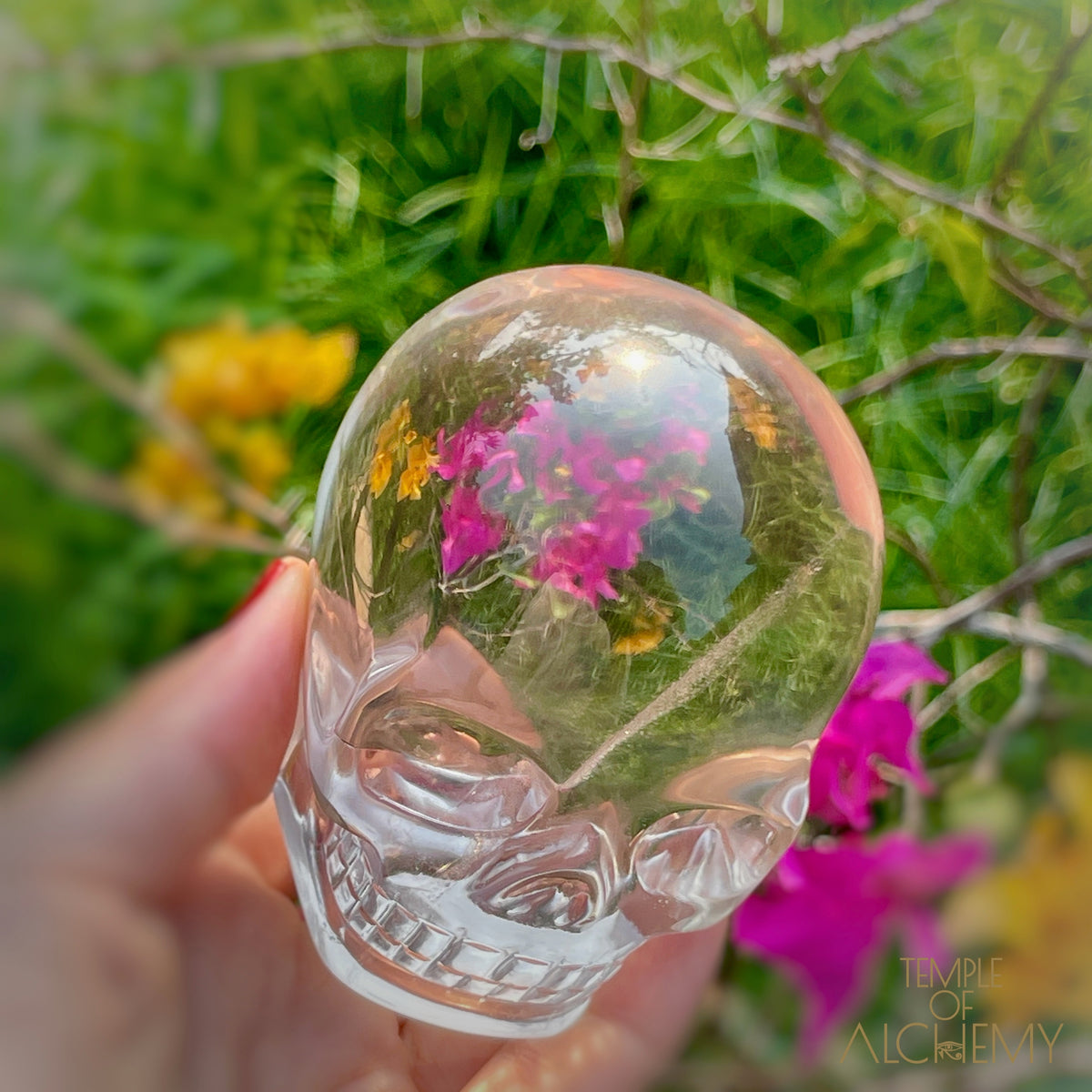 Ascension 𓄂♡𓆃 Citrine