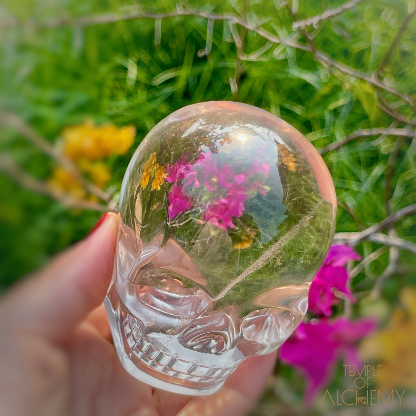 Ascension 𓄂♡𓆃 Citrine