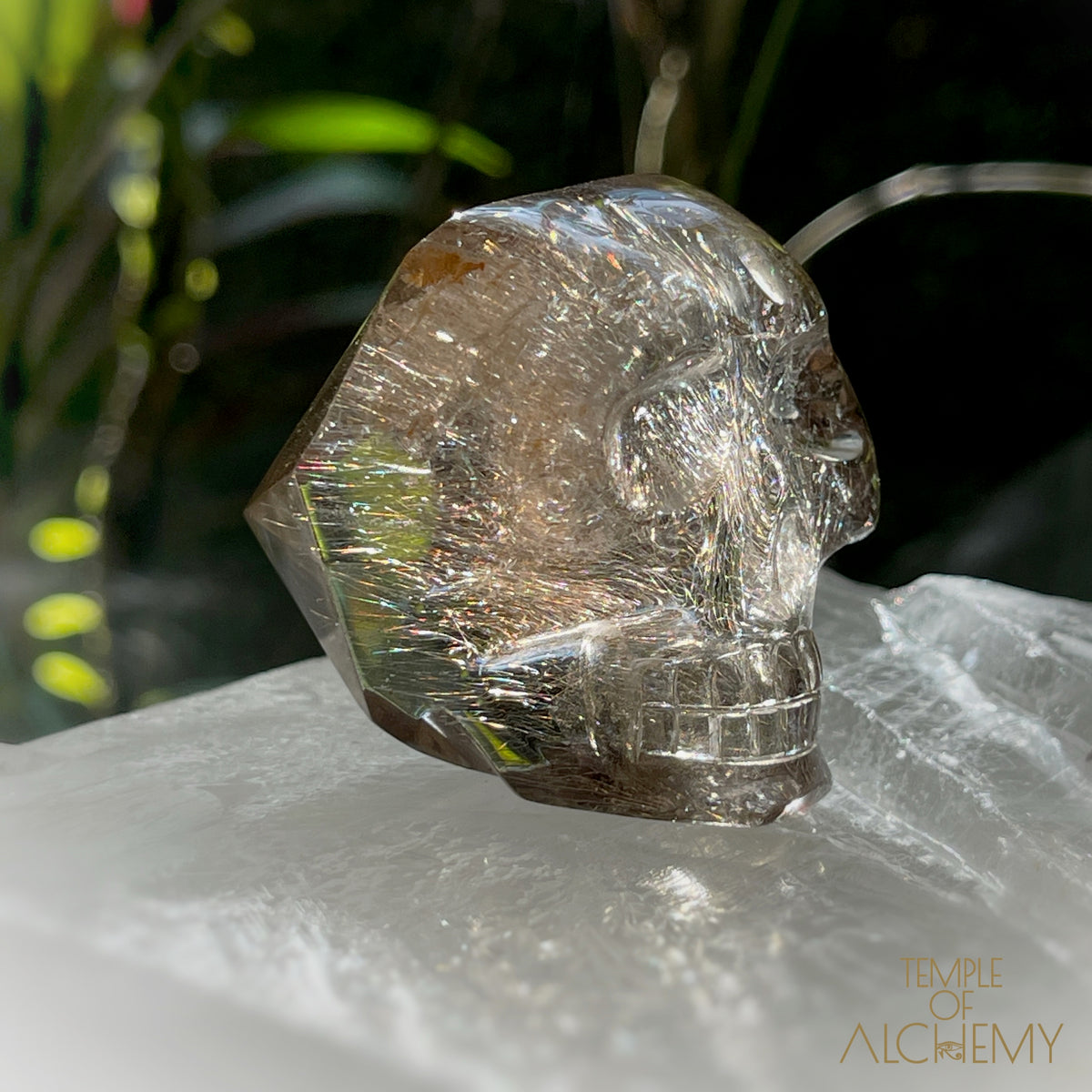 Smoky Citrine x Golden-Copper Rutiles