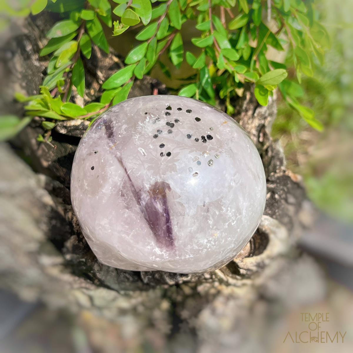 Trapiche Amethyst + Hollandite