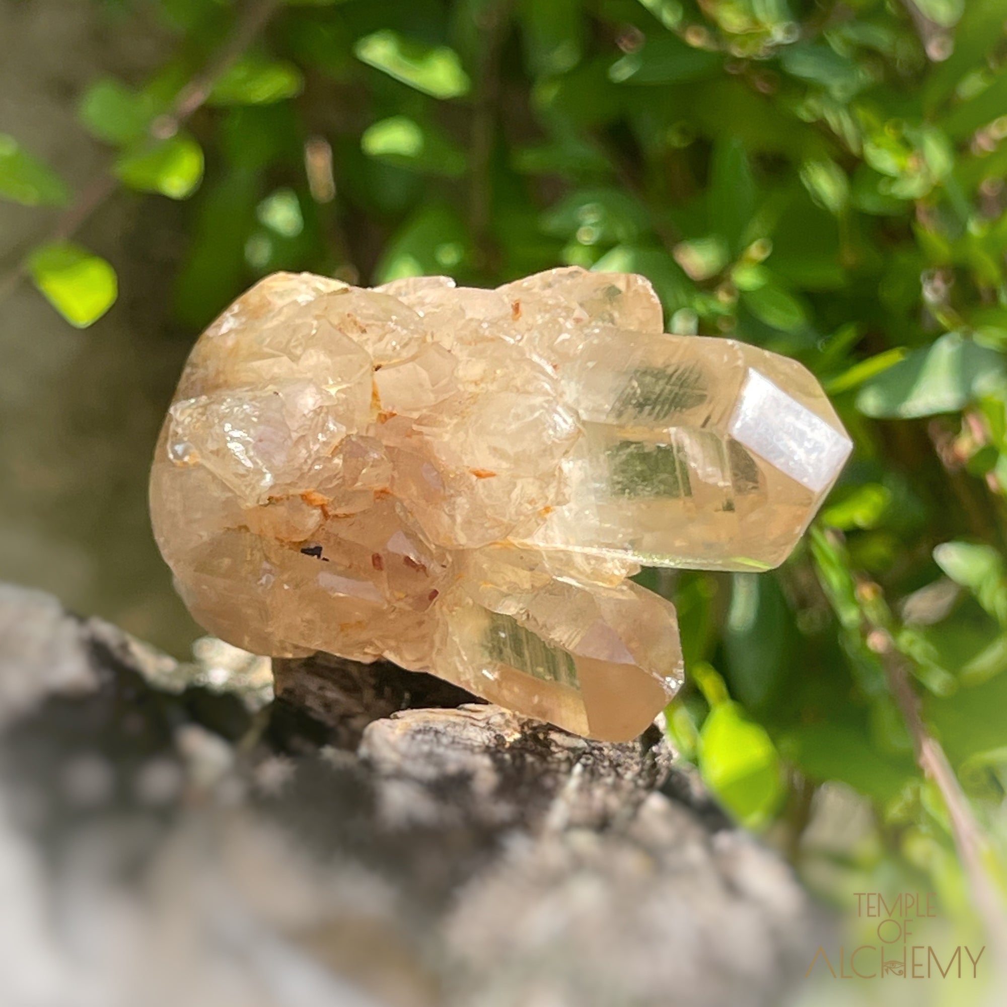 Kundalini Citrine