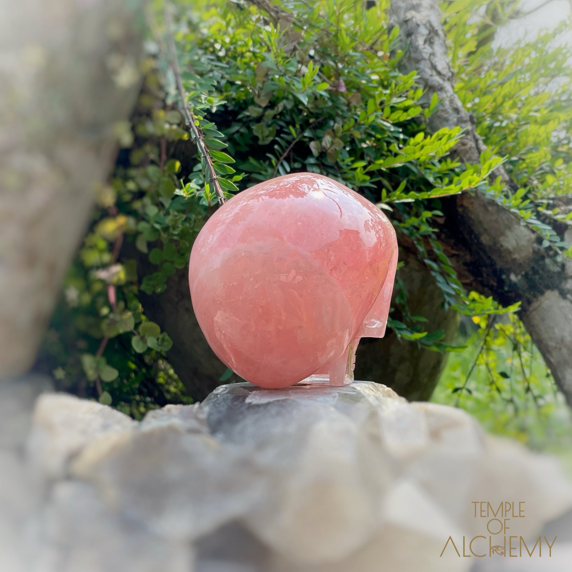 Cat's Eye Rose Quartz