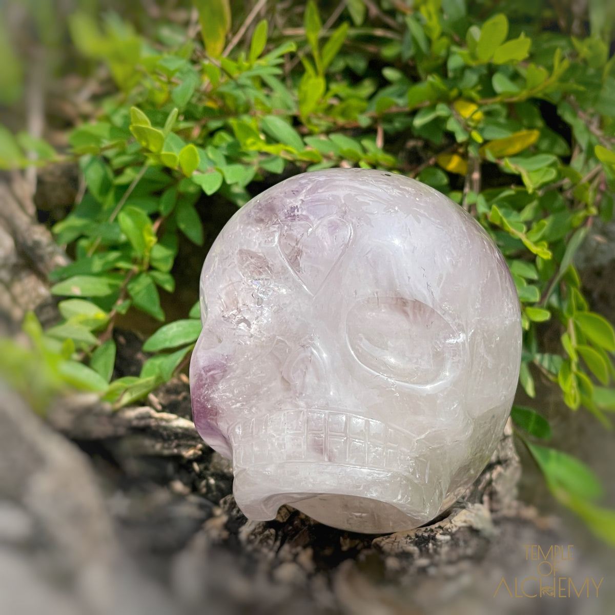 Trapiche Amethyst + Hollandite