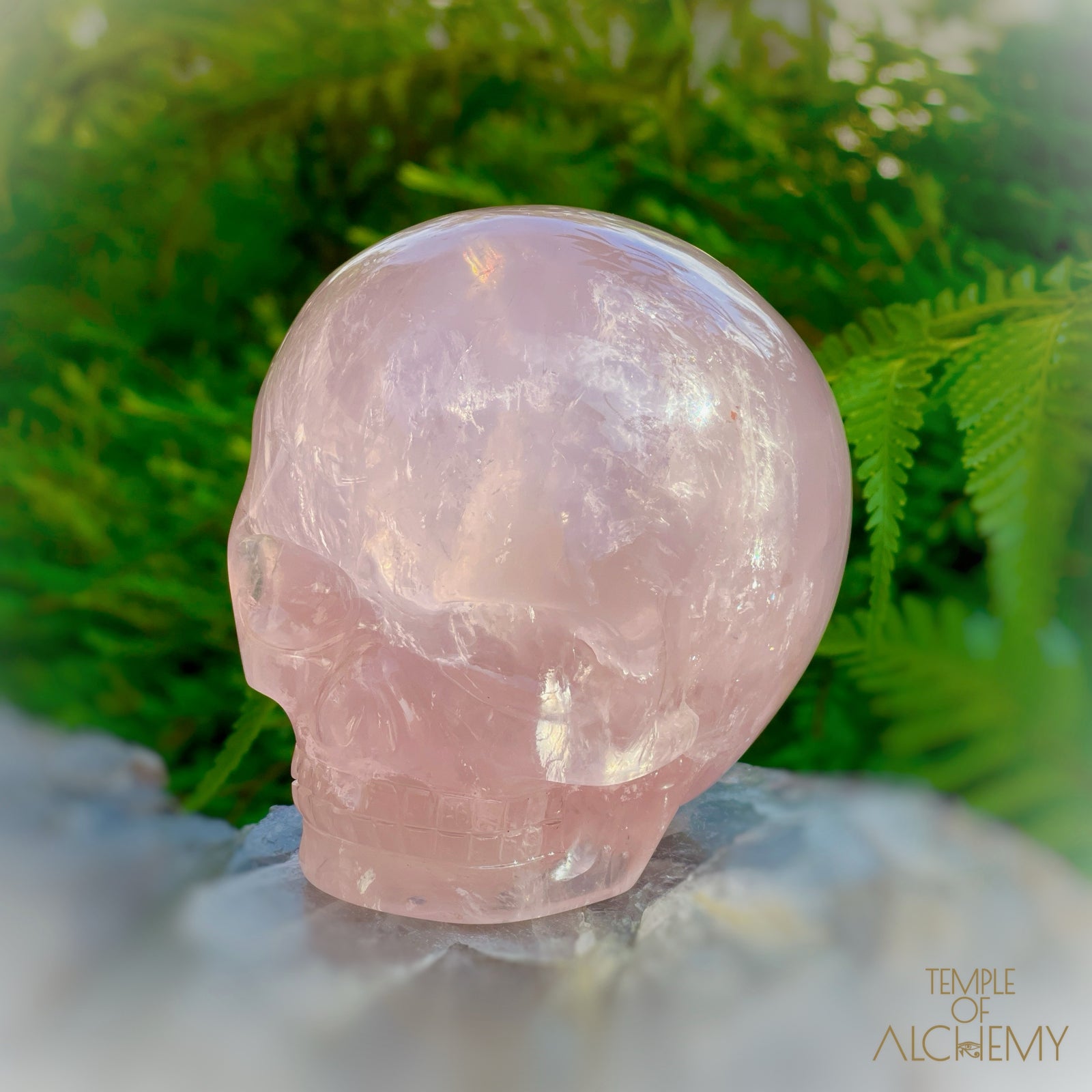 Star Rose Quartz