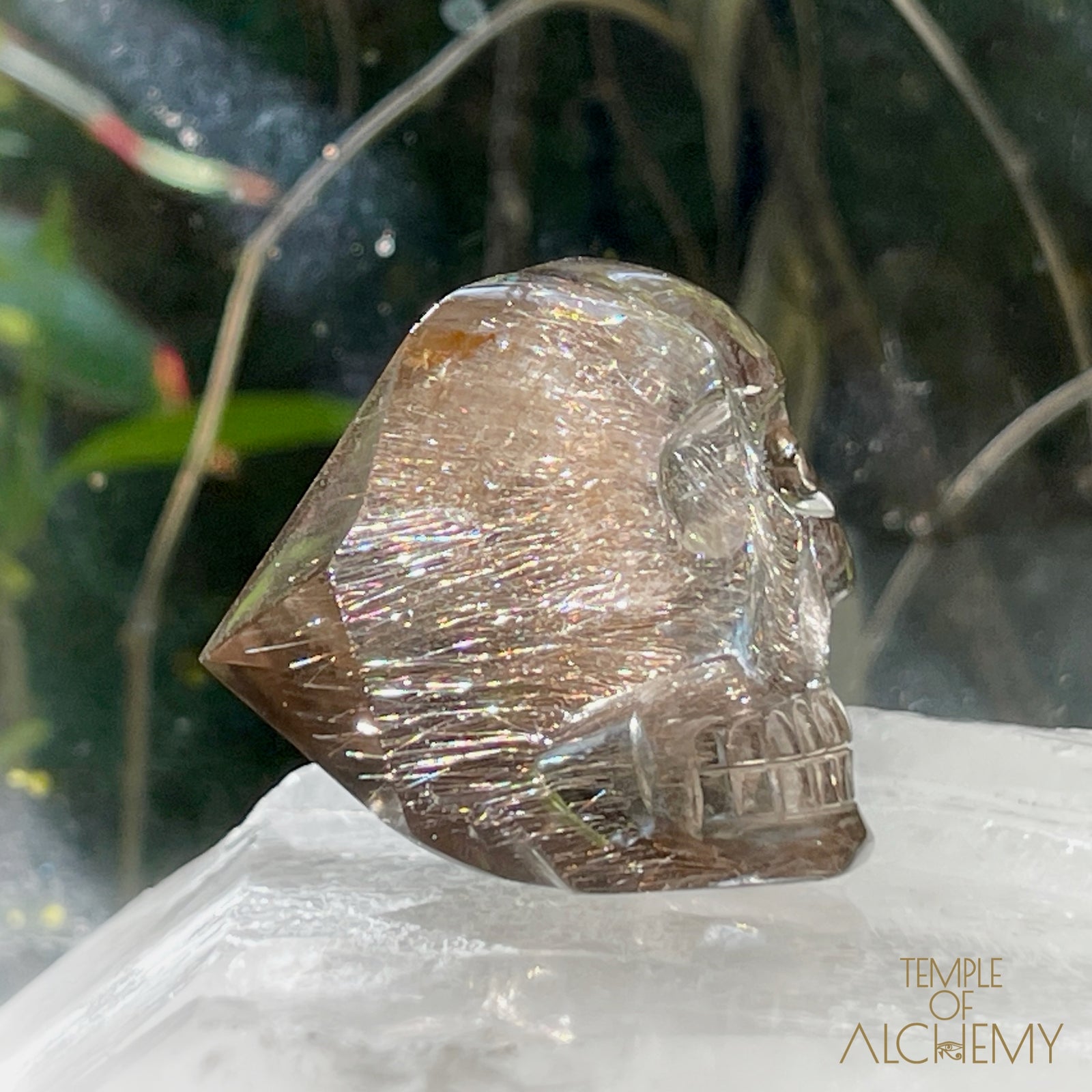 Smoky Citrine x Golden-Copper Rutiles