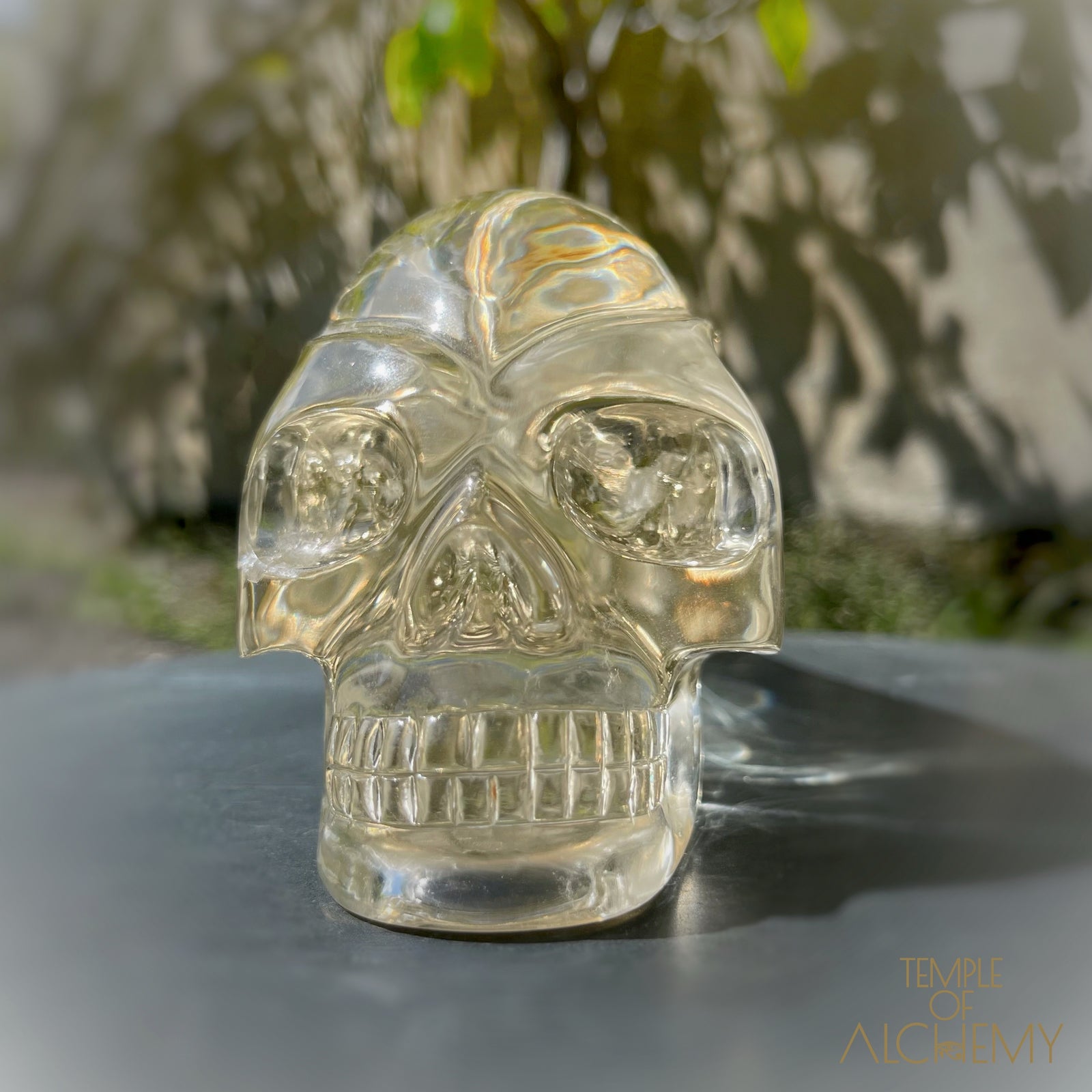 Ascension & Manifestation Quartz 𓄂♡𓆃 Citrine