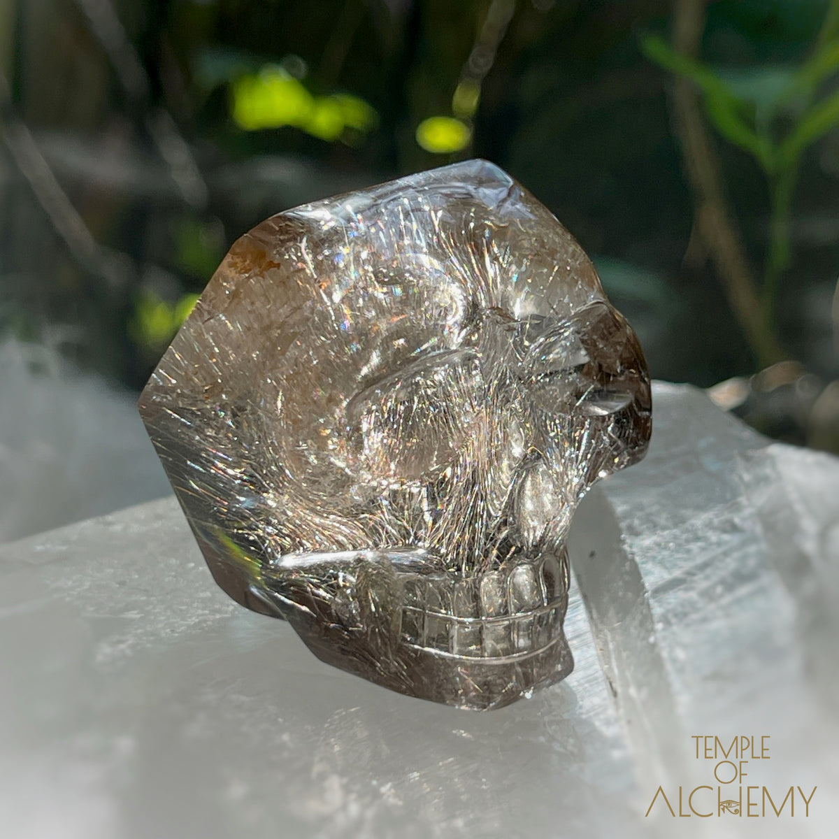 Smoky Citrine x Golden-Copper Rutiles