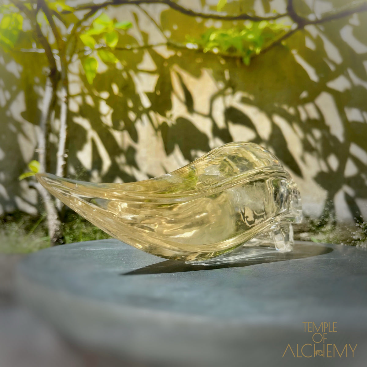 Ascension & Manifestation Quartz 𓄂♡𓆃 Citrine