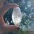 Lemurian