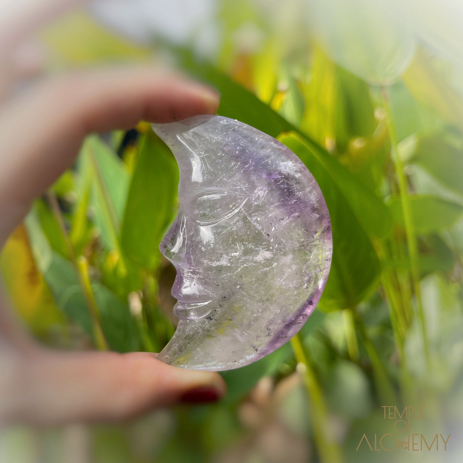 * RESERVED S.A * Phantom Amethyst