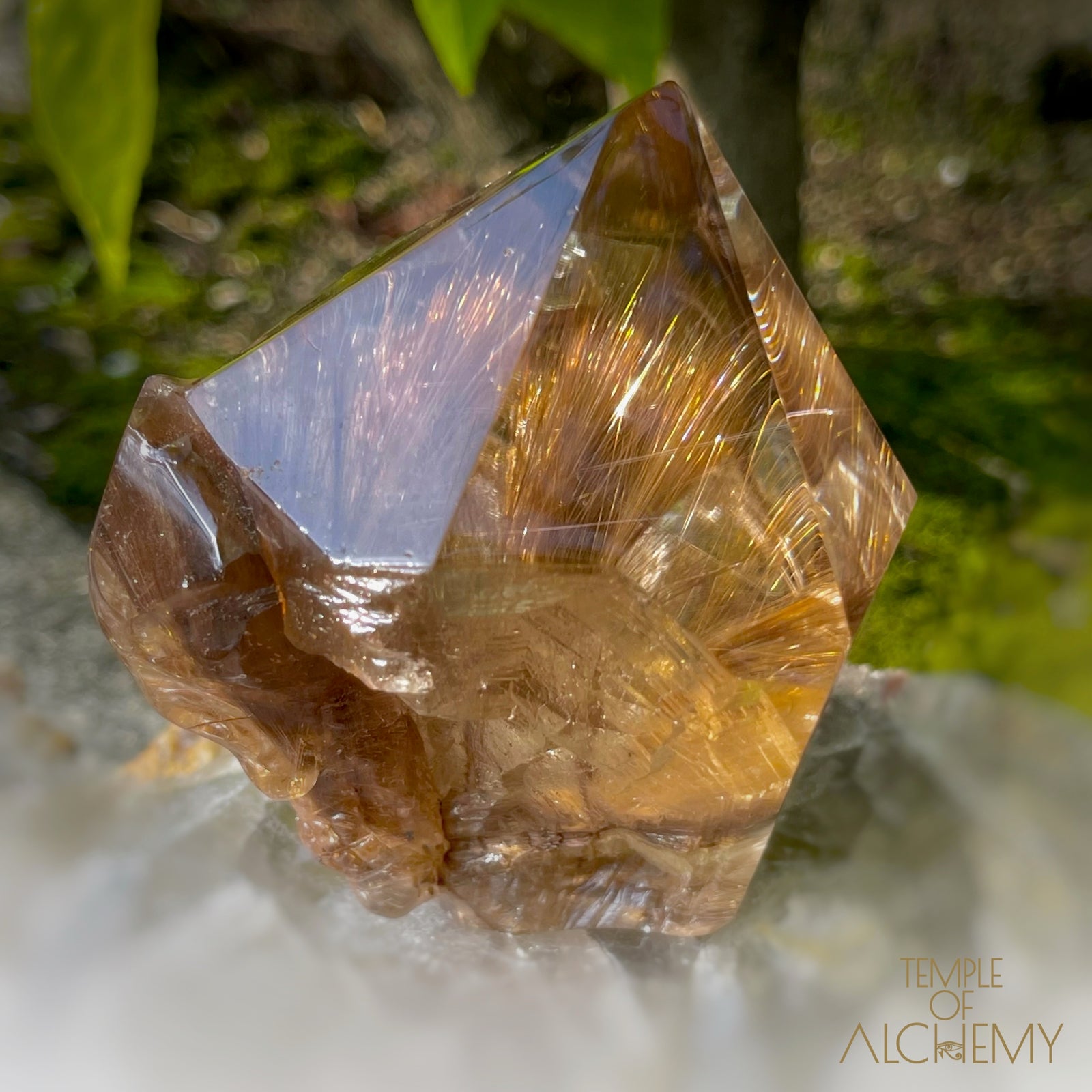 The Power of 2 Beings in 1 𓆃 Smoky Citrine x Golden-Copper Rutiles