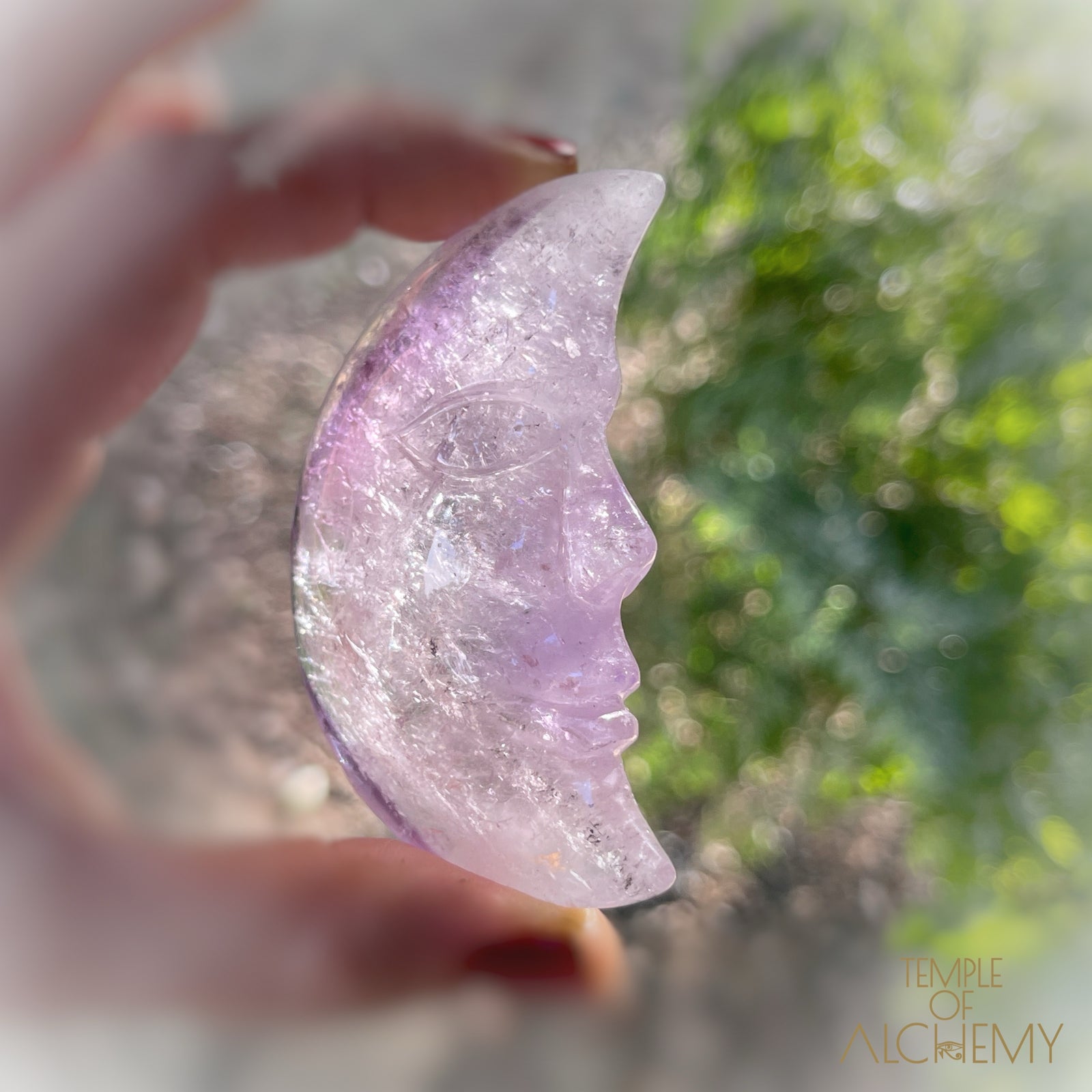 * RESERVED S.A * Phantom Amethyst