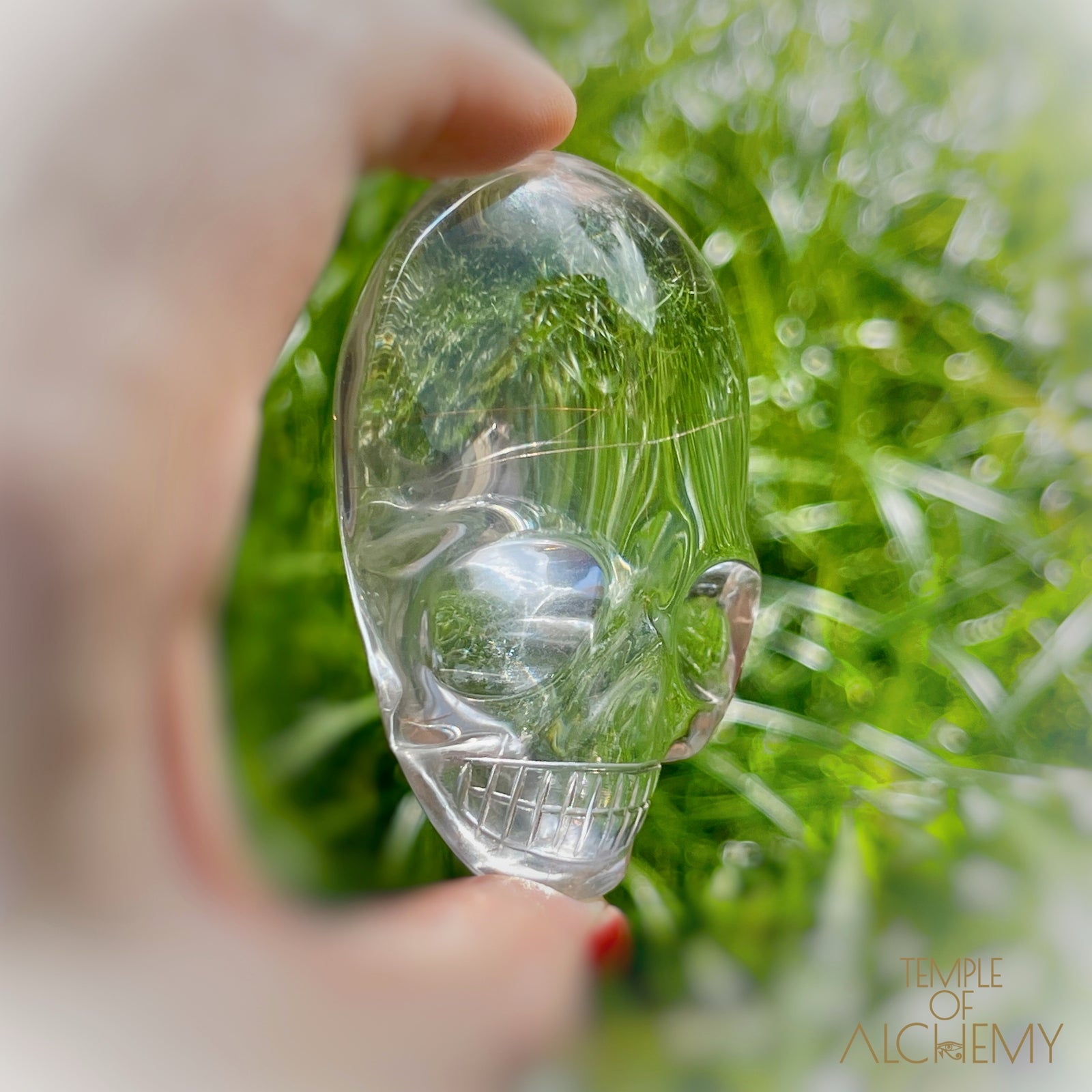 Ascension 𓄂♡𓆃 Copper Rutiles in Clear Quartz