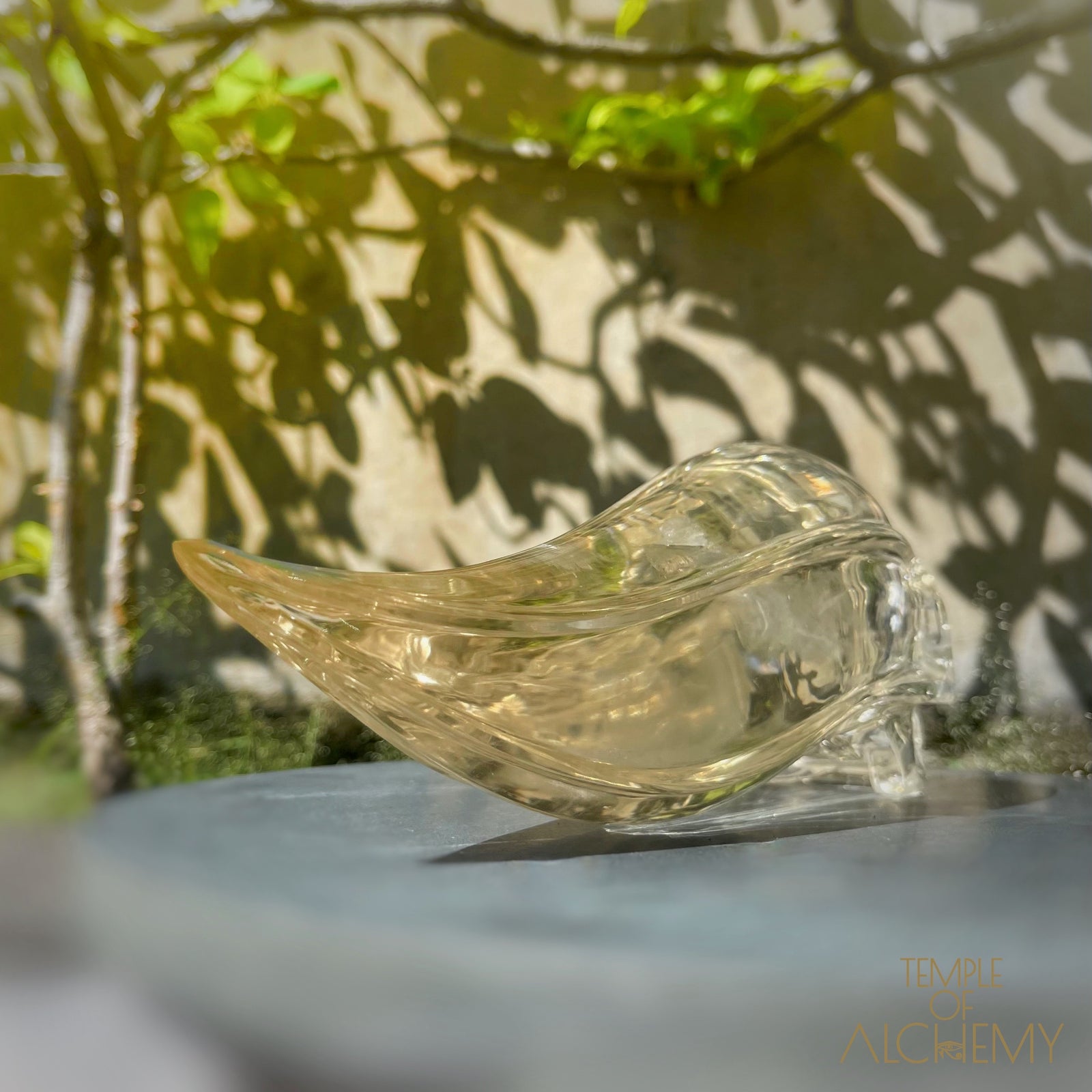 Ascension & Manifestation Quartz 𓄂♡𓆃 Citrine